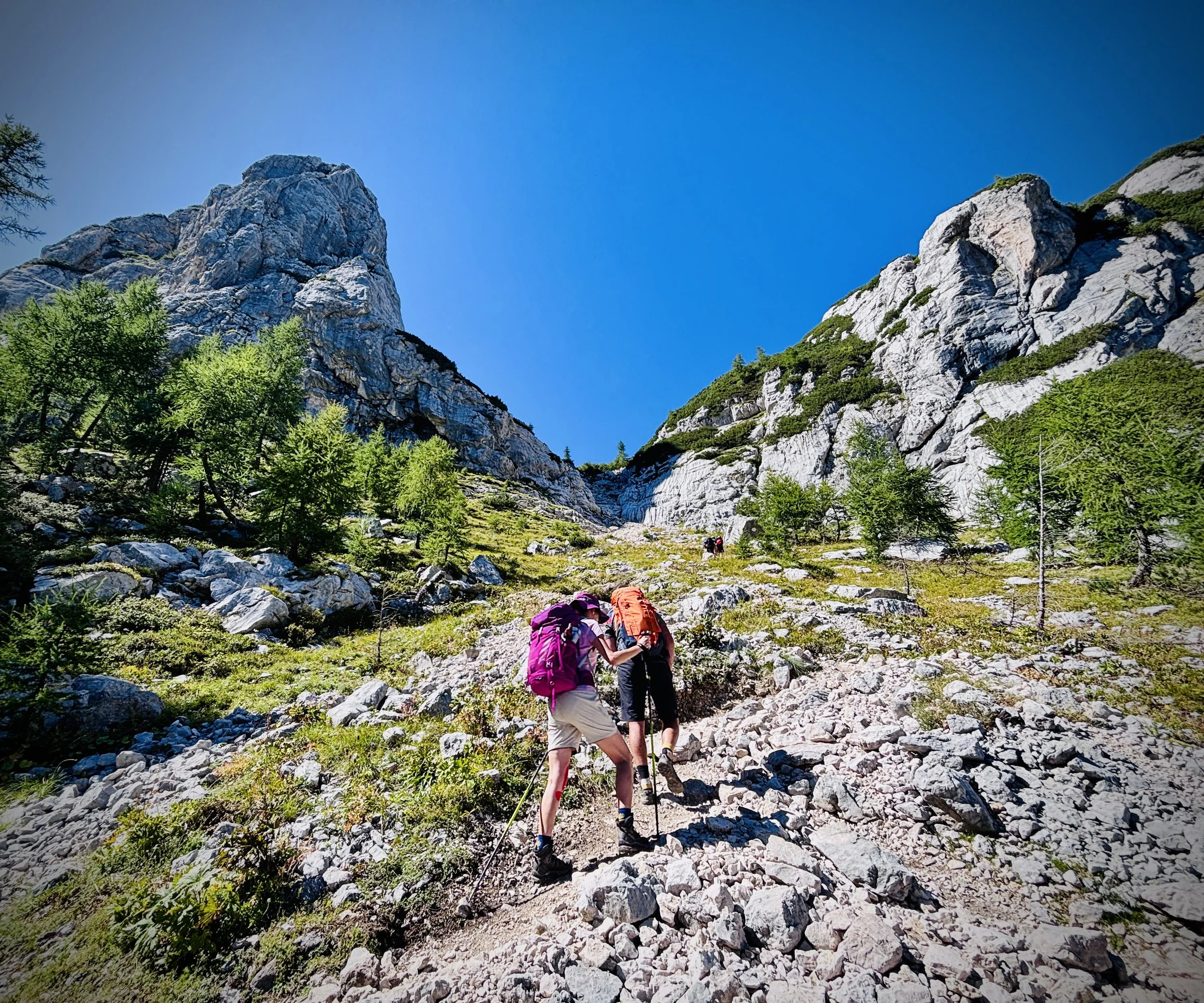 IMG_2219(1).jpg