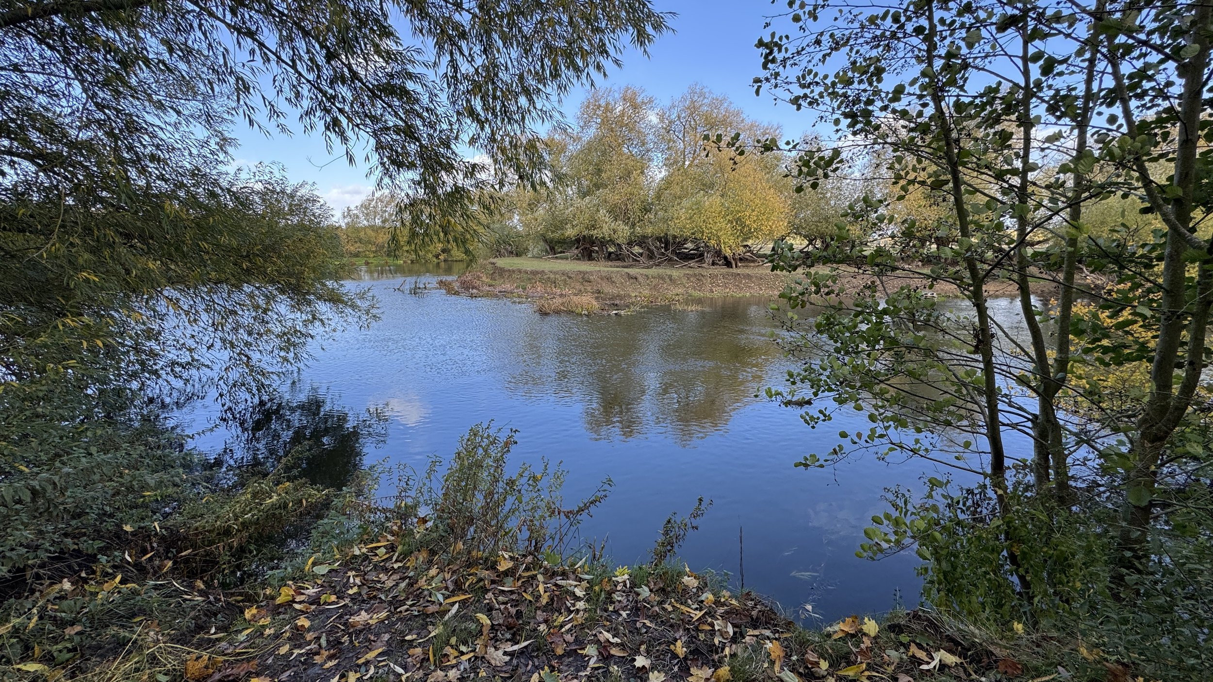 IMG_6636.JPG