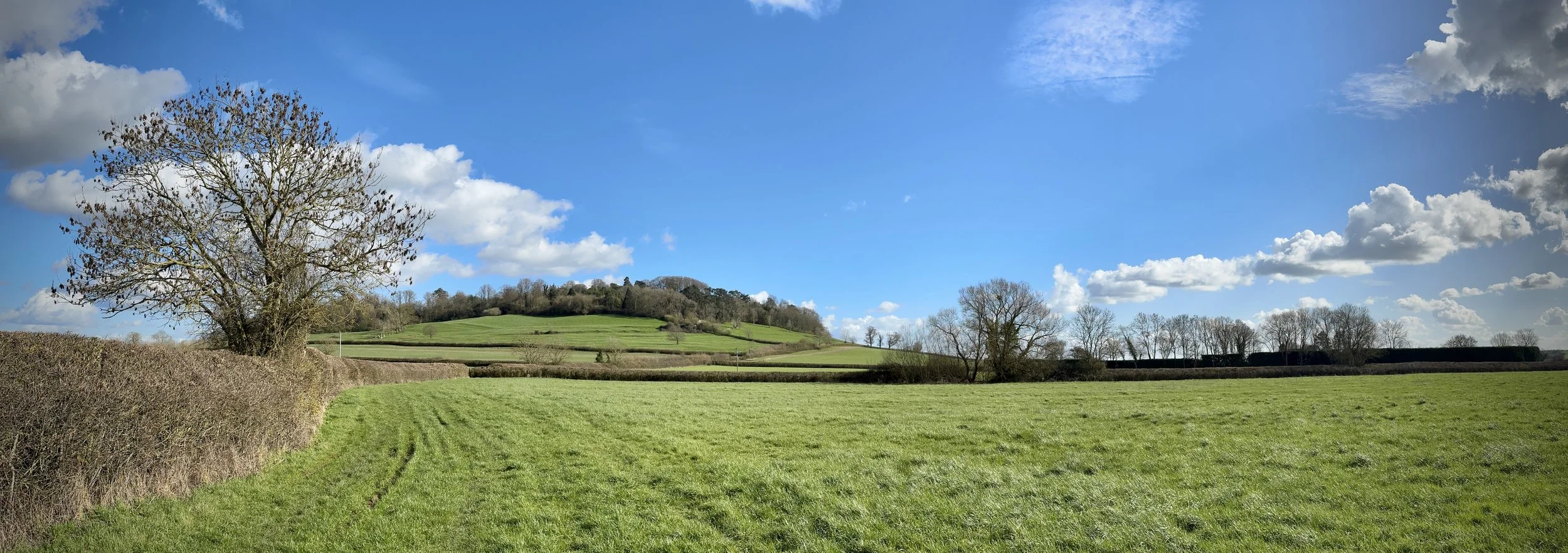 Approaching the Waddesdon Estate from the north-west on the Brill Tramway Walk