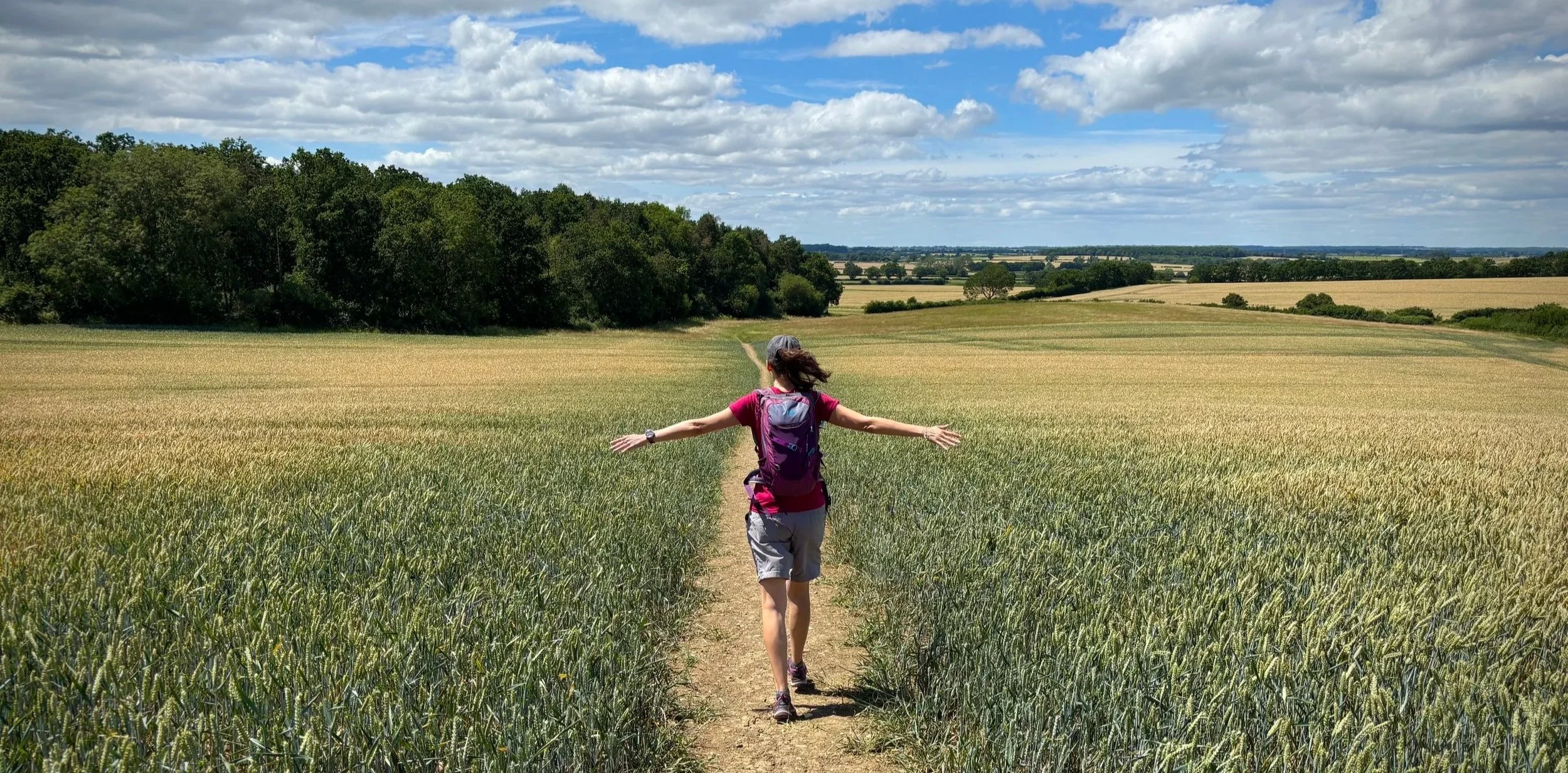 Walking west from Oakhill with Oakhill Wood, Milton Keynes, on the left