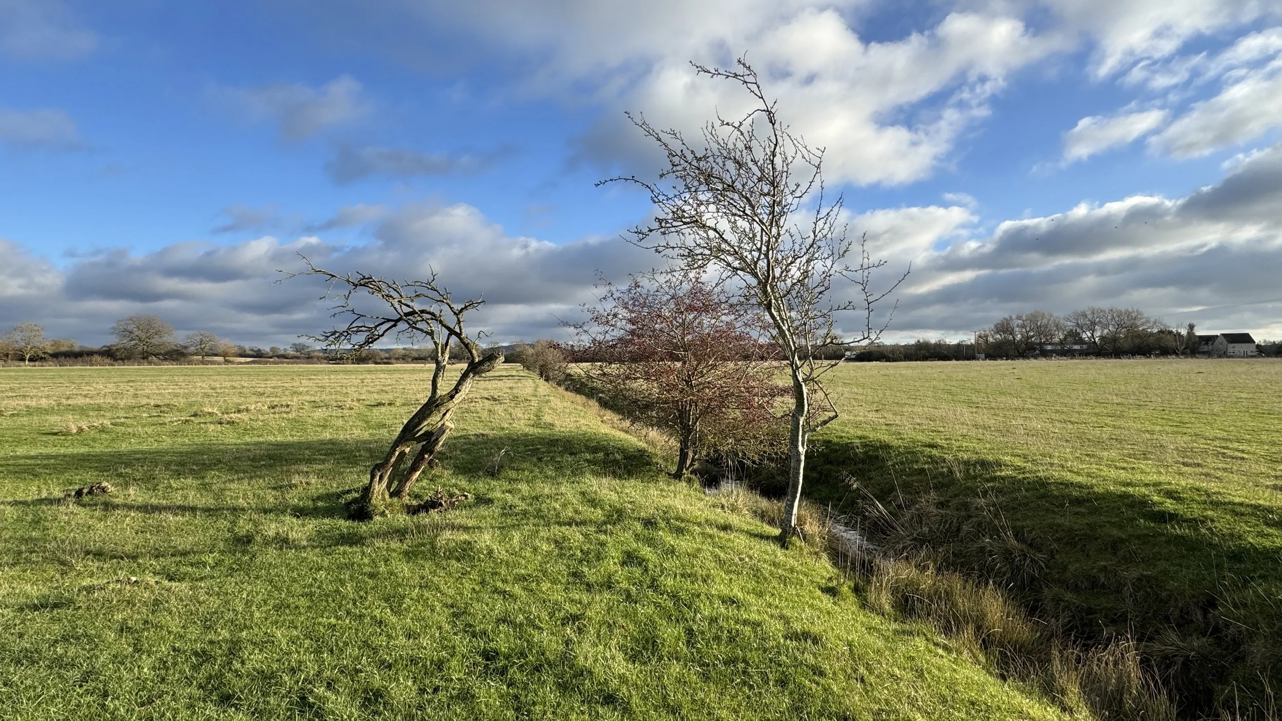 Open fields between Between Aston Sandford and Owlswick. Blue sky with clouds and winter-bare trees