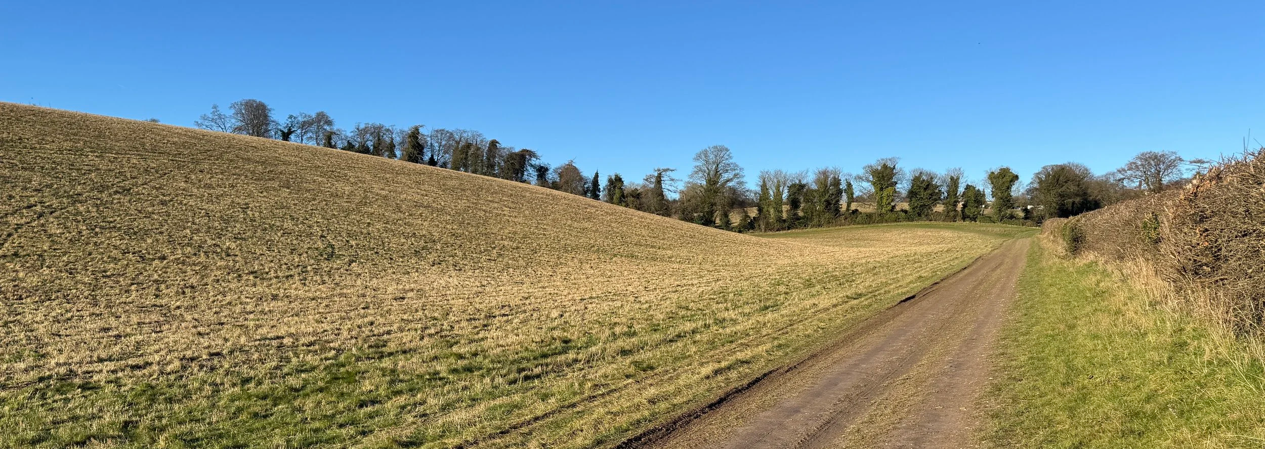 Scenic view of rolling green farmland near Sheepridge in the Buckinghamshire Chilterns.