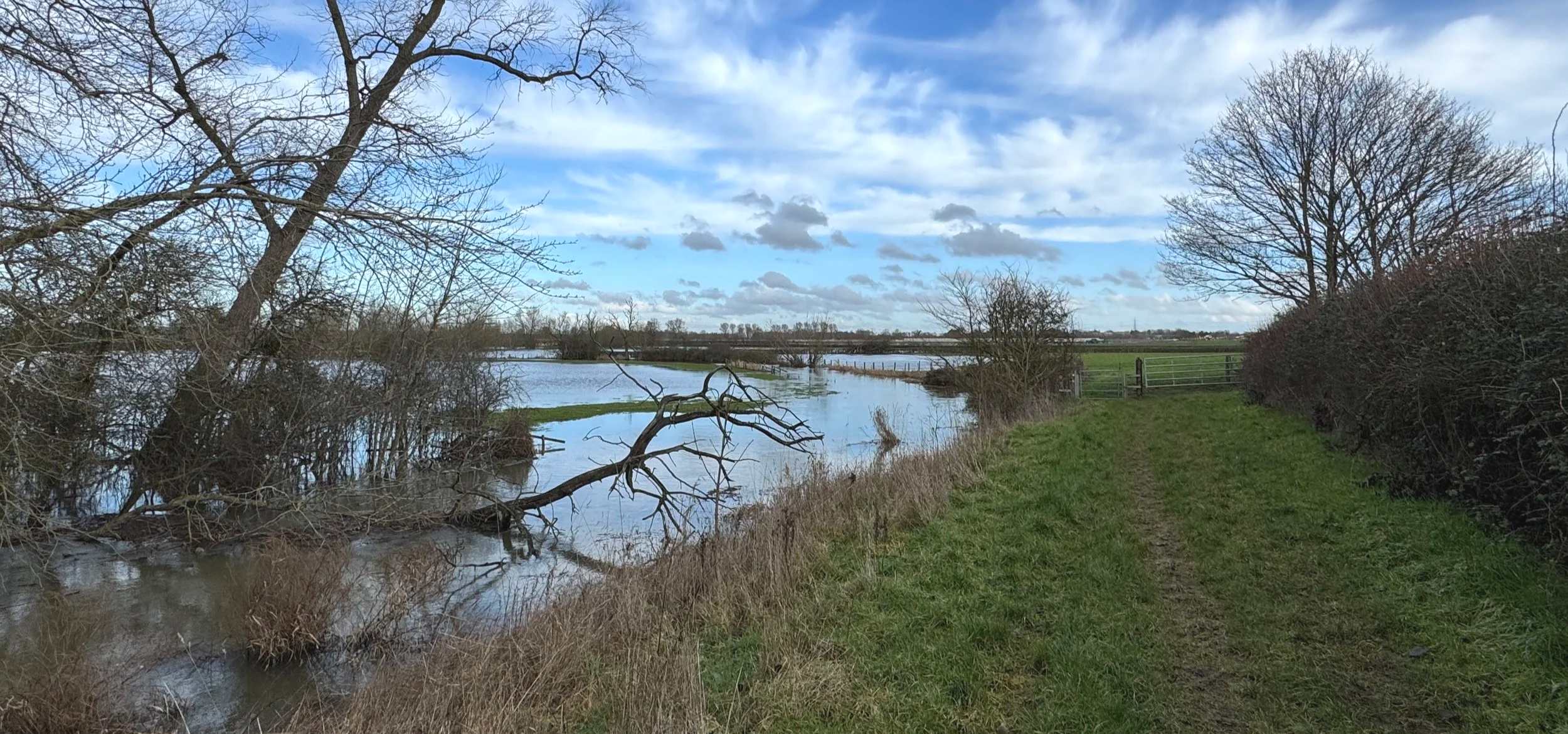 Flooded Banks of The River Thame on the Midshires Way