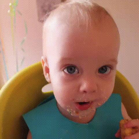 IMG_8125.gif