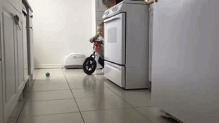 gifboom.gif