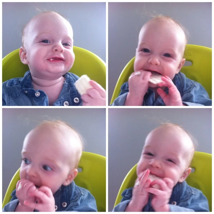 Baby Led Weaning &amp; Spoon Feeding