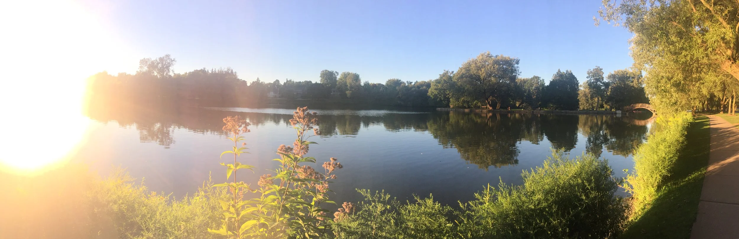 Snapshot Of Summer [2016]