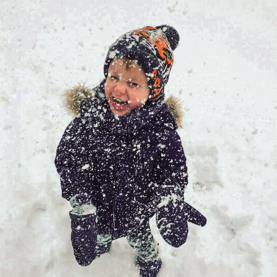 Snapshot Of Winter [2018]