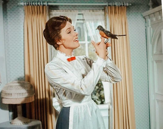 In Every Job That Must Be Done... A Post On Cleaning