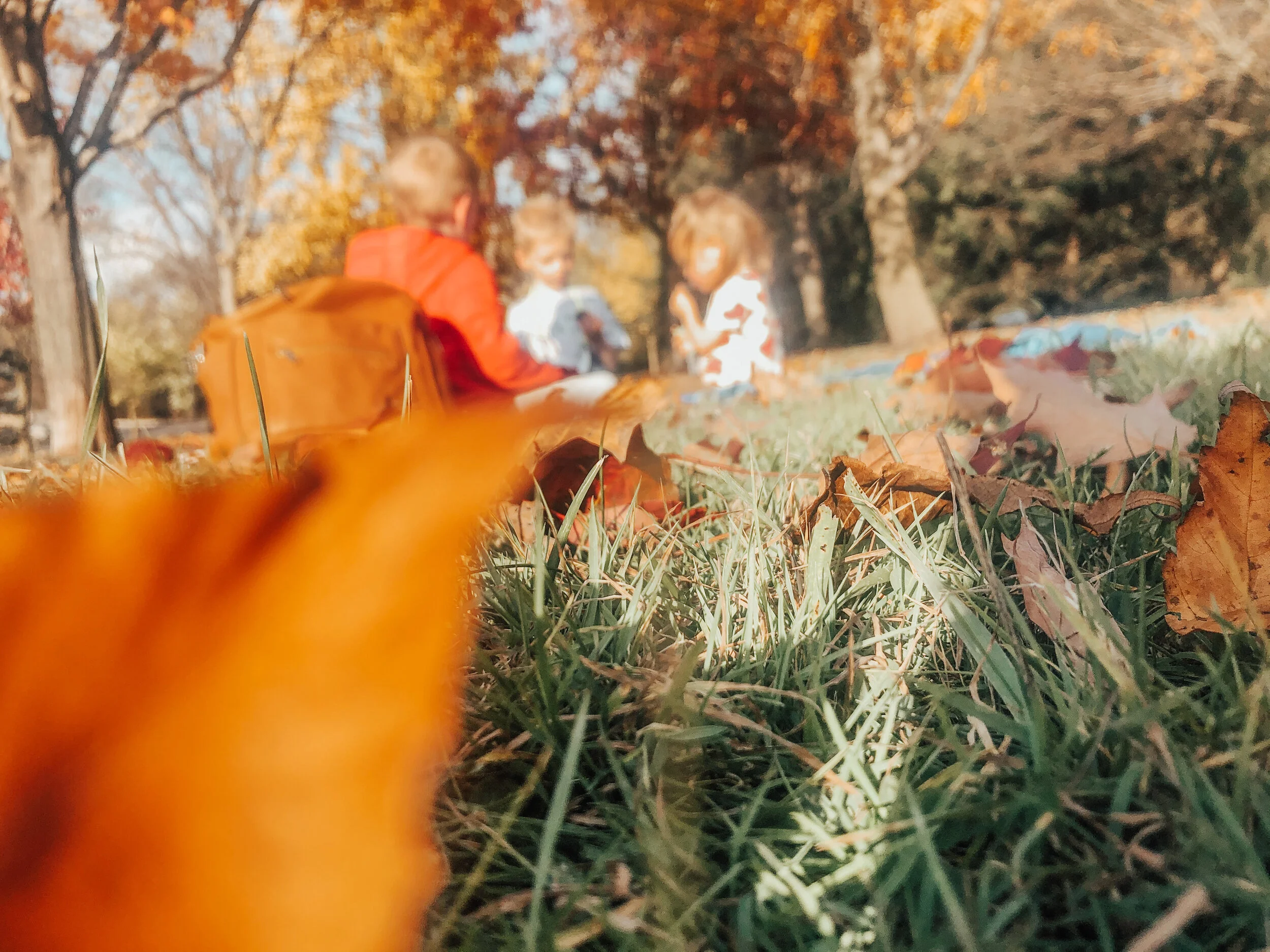 Snapshot Of Autumn