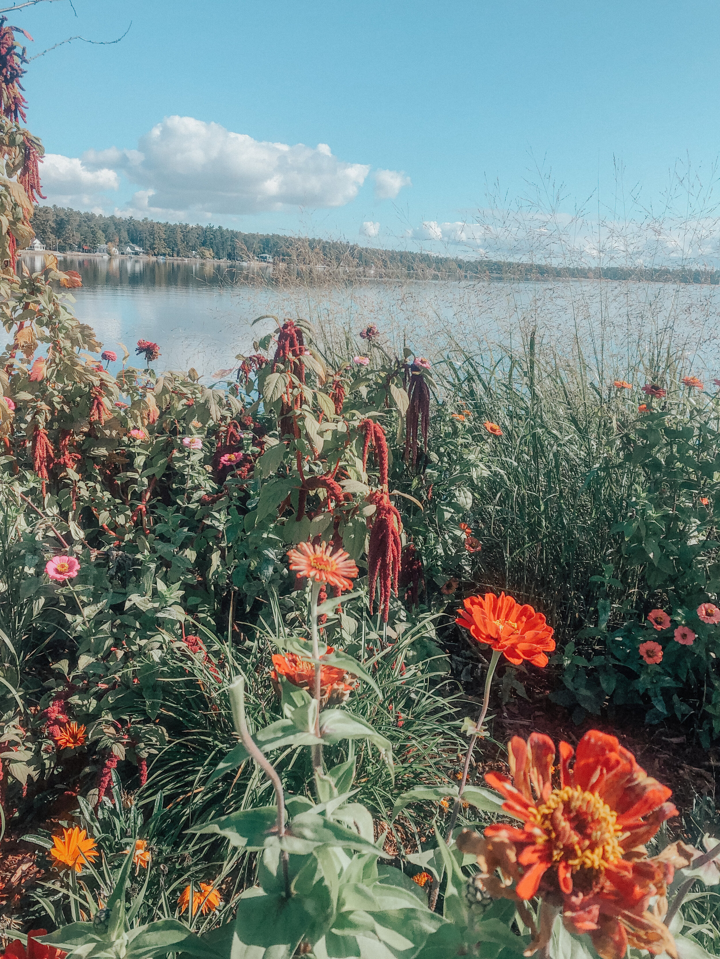 Thanksgiving In Québec