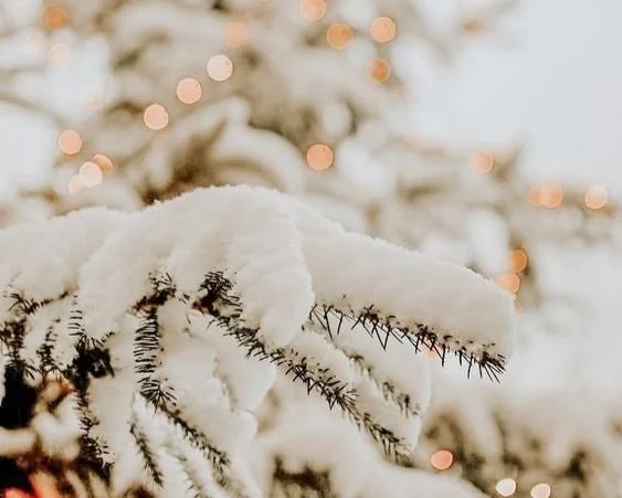 The Christmas That Didn't Go To Plan