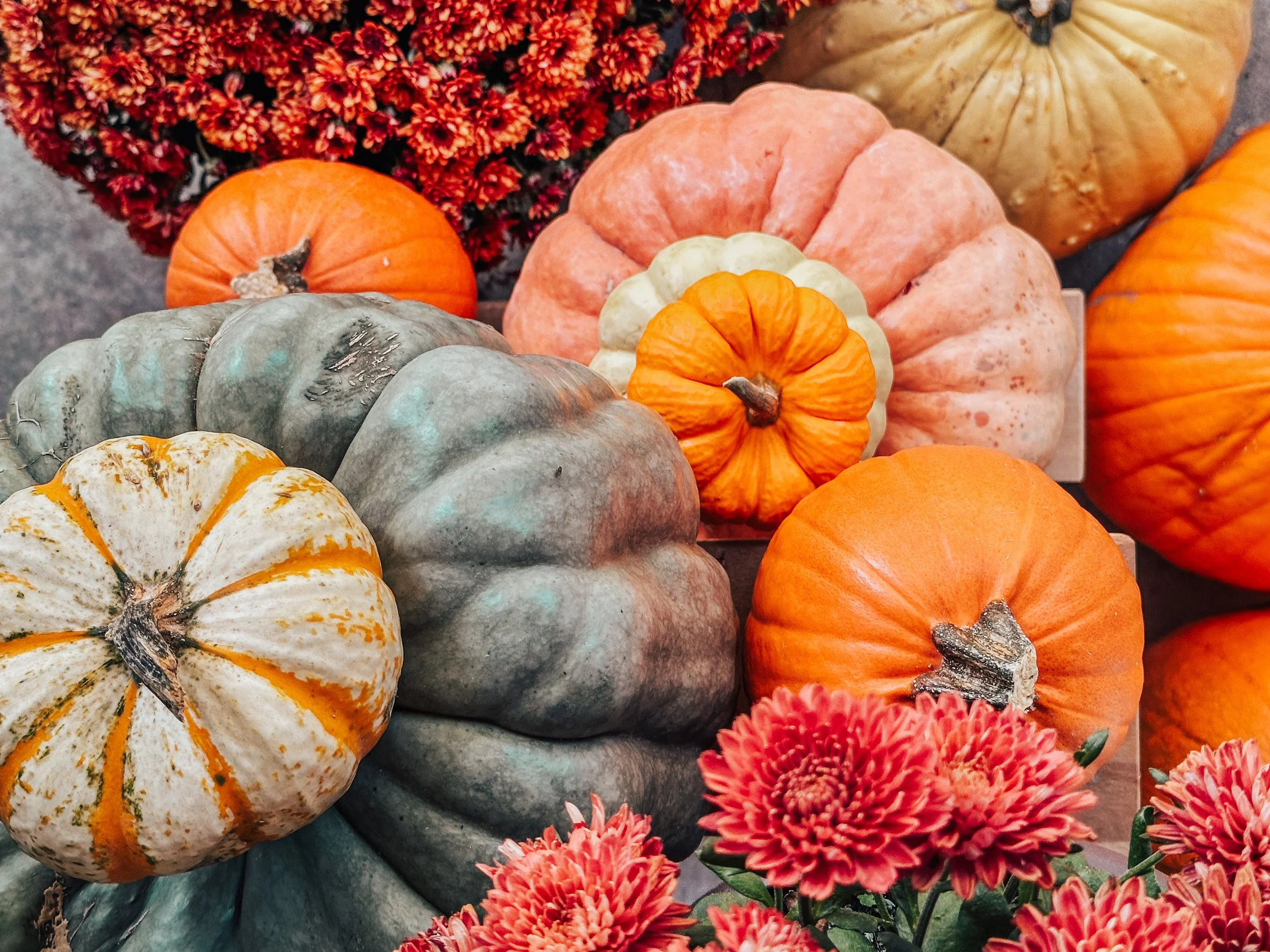 Snapshot October '23