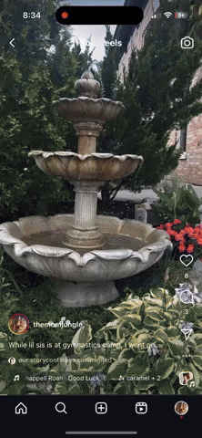 giphy.gif