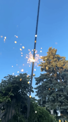 giphy-1.gif