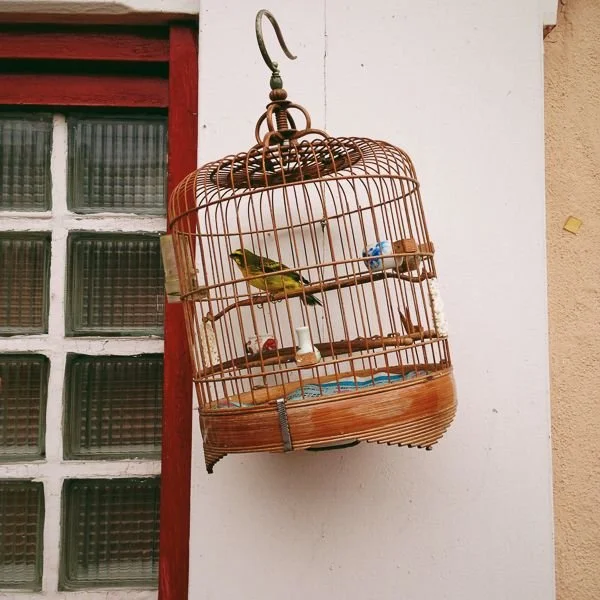 Two Cages