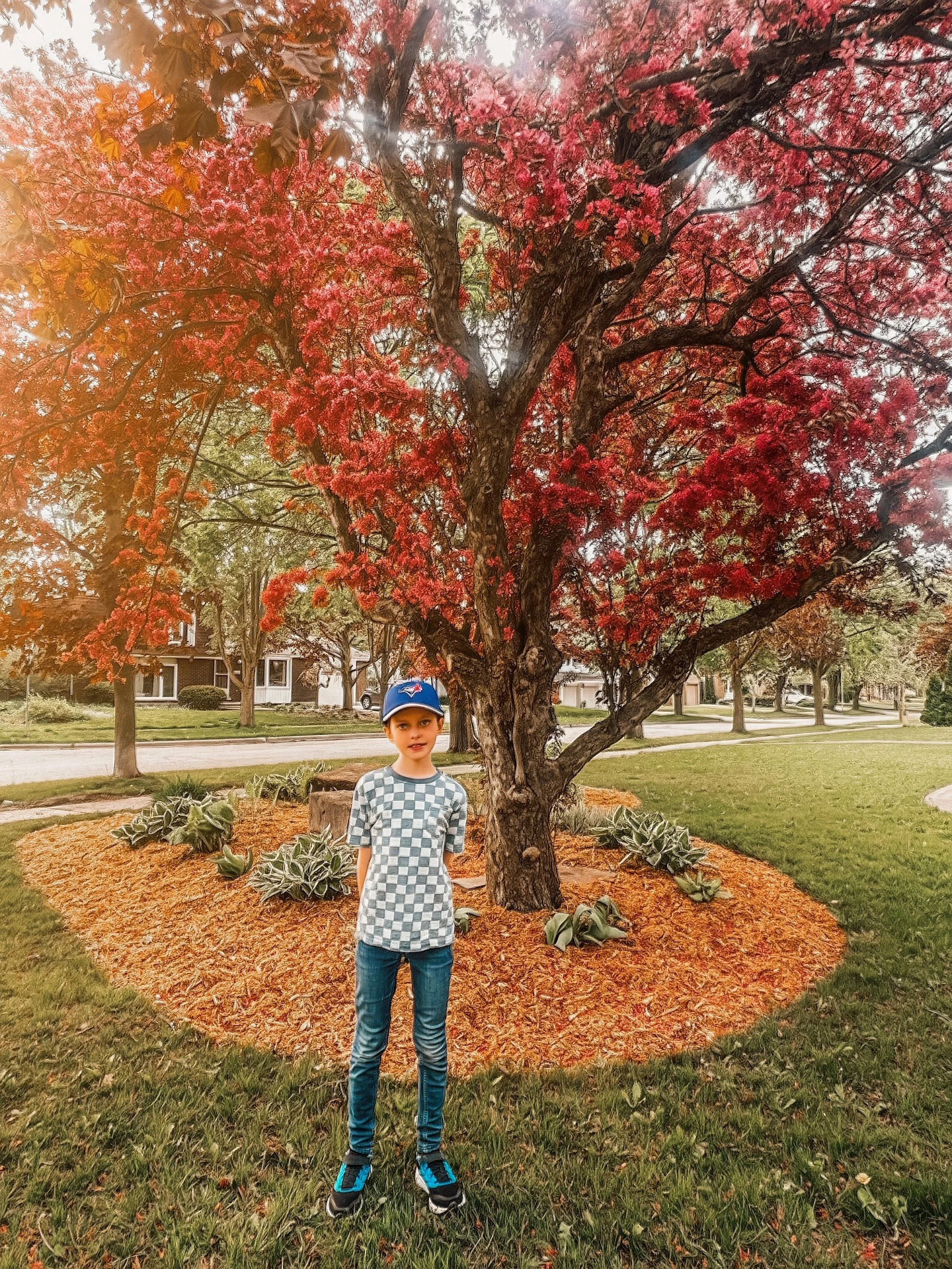 Facetune_19-05-2026-17-38-18.jpeg