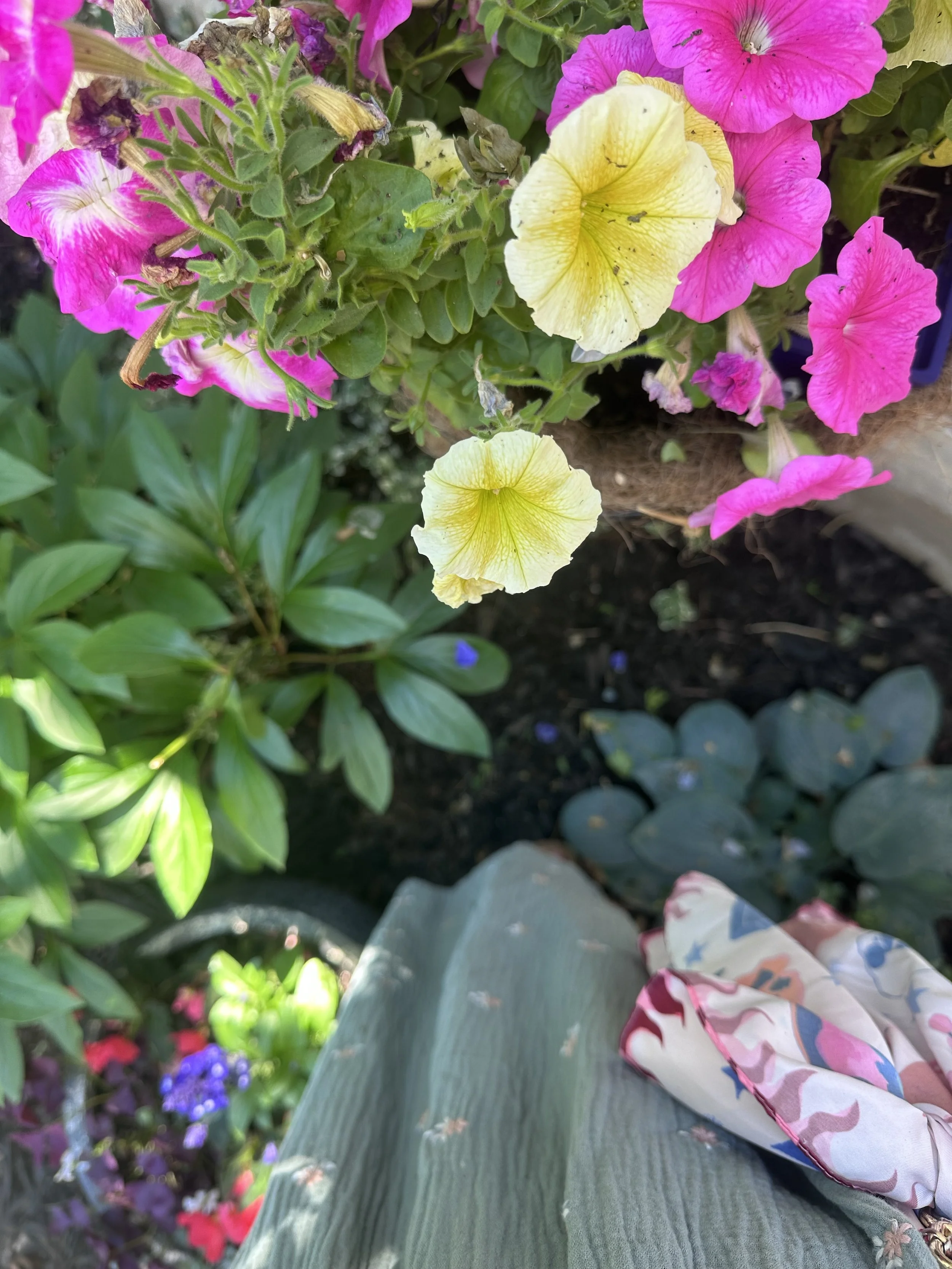 IMG_0653.jpeg