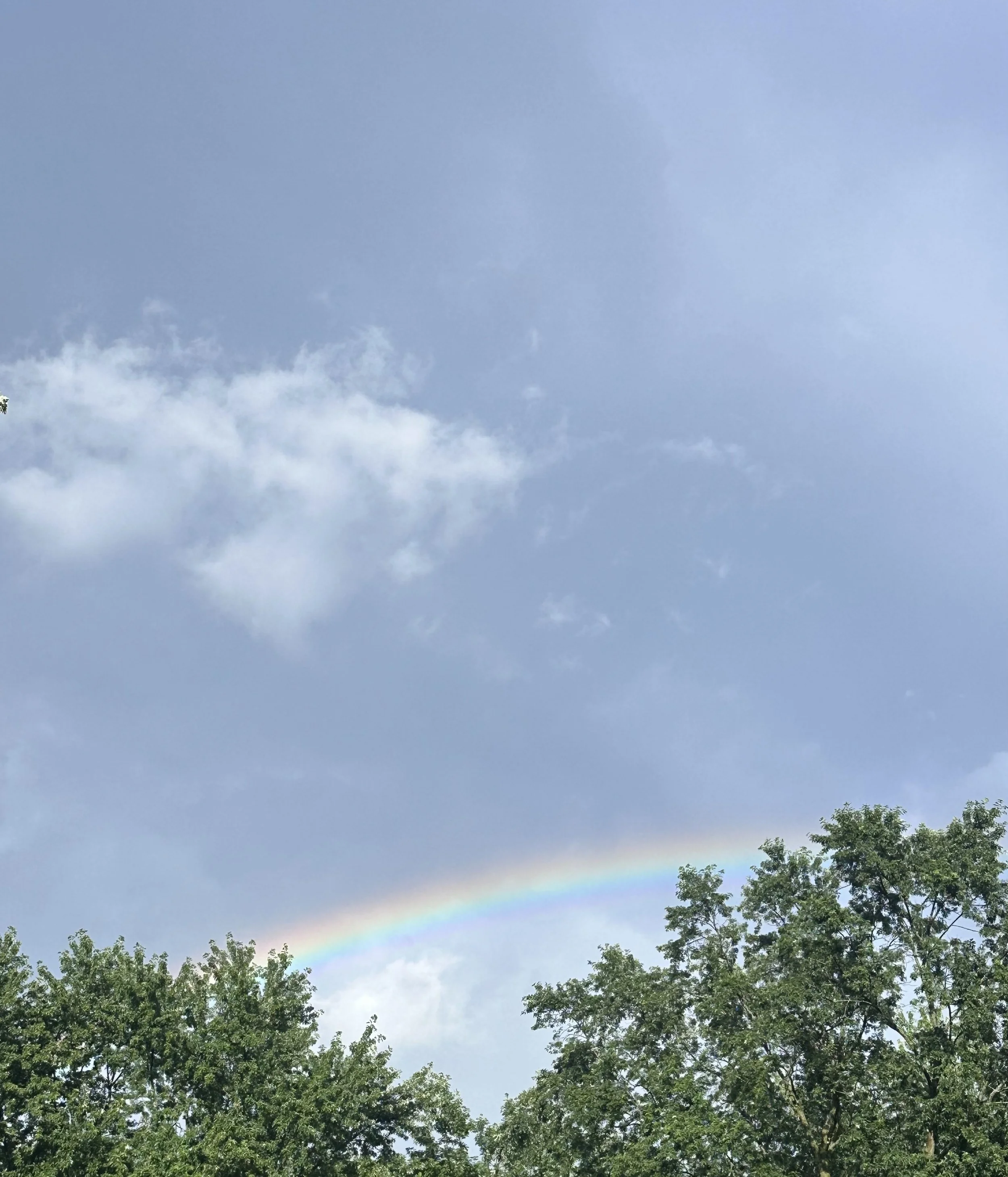 IMG_1090.jpeg