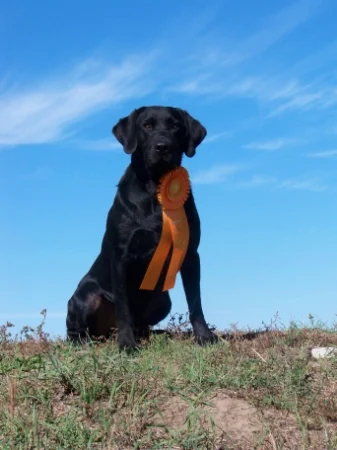 Hidden Acres&#x27;       Razors Edge