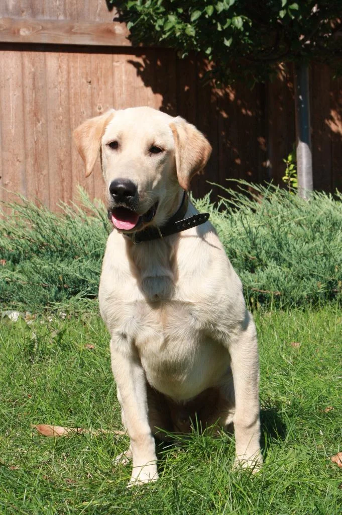 Hidden Acres Seaside Aftermath