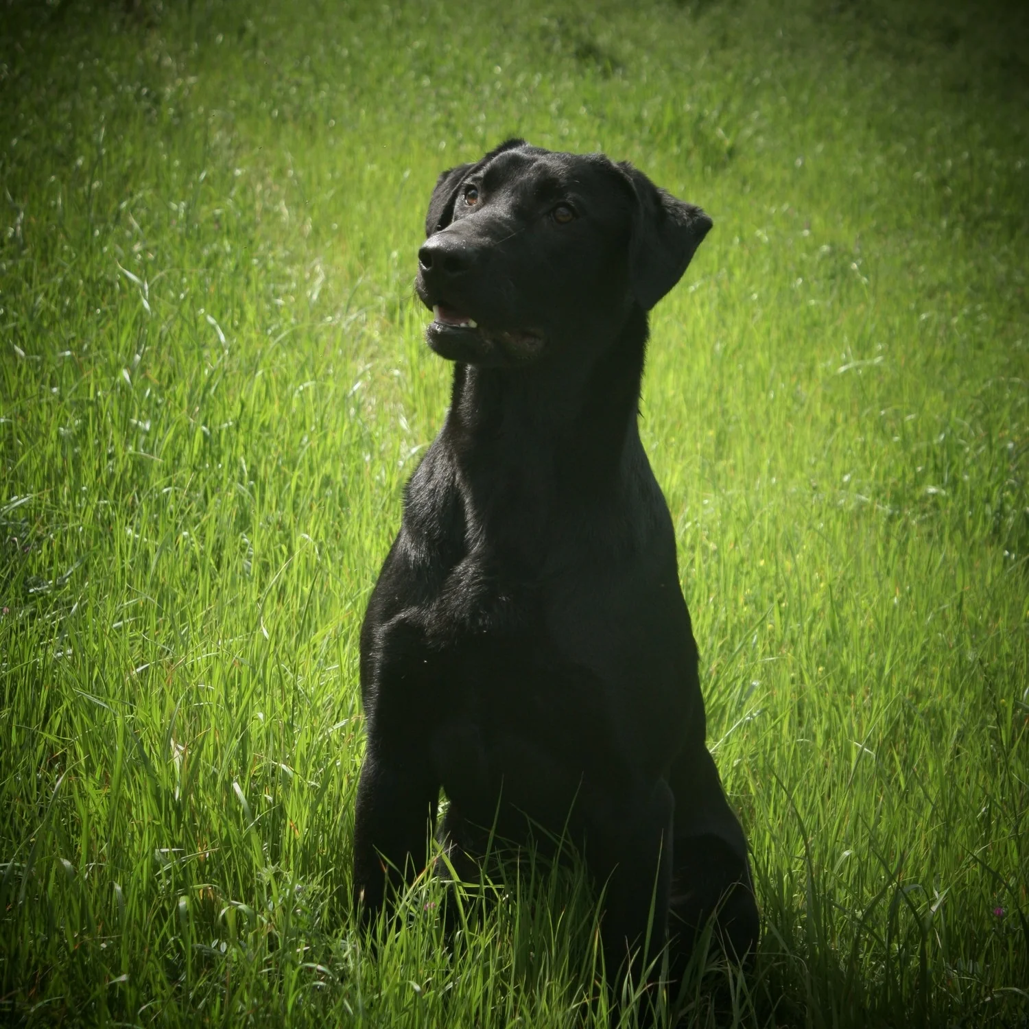 Hidden Acres' Payday