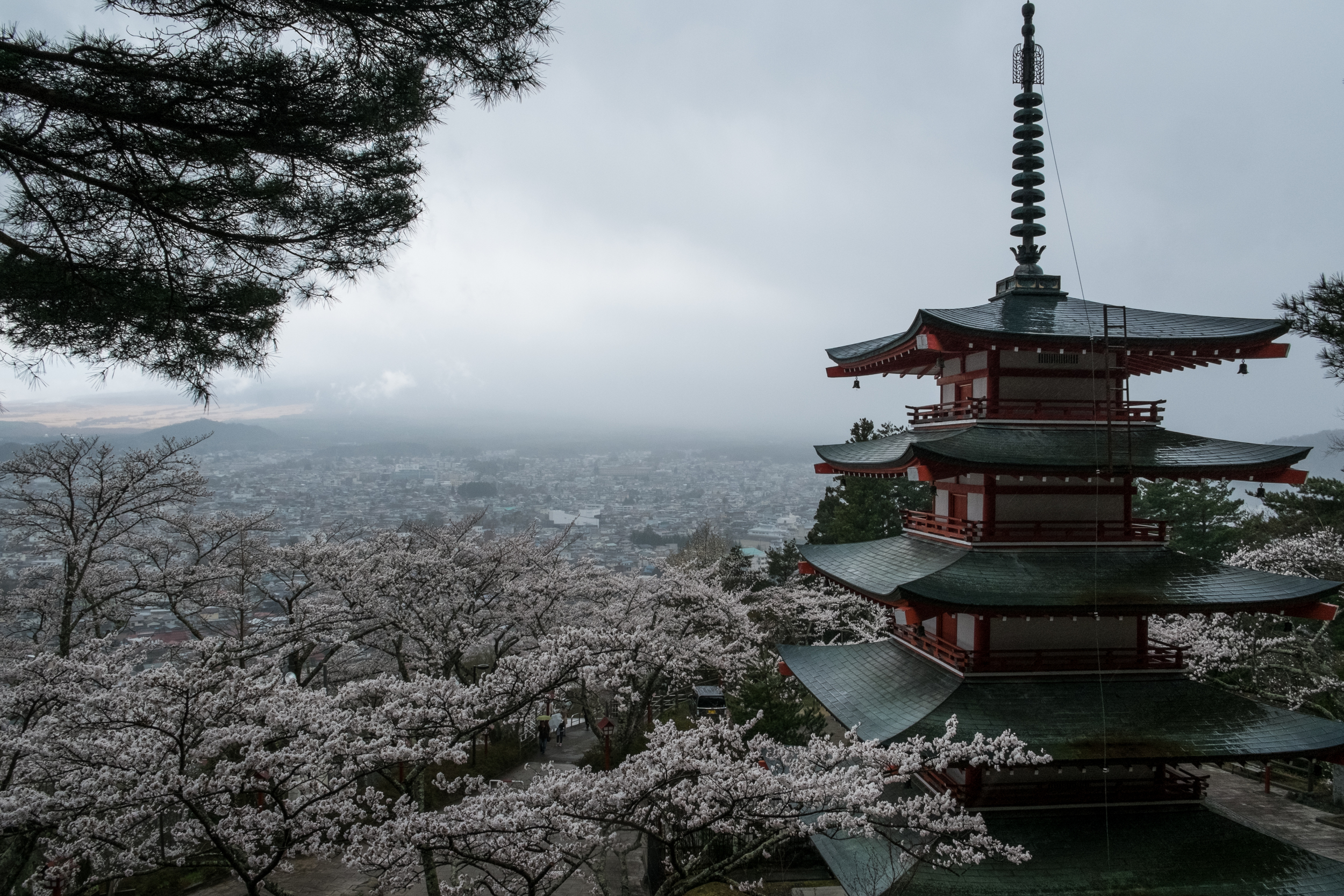 Great view of Fuji ...!