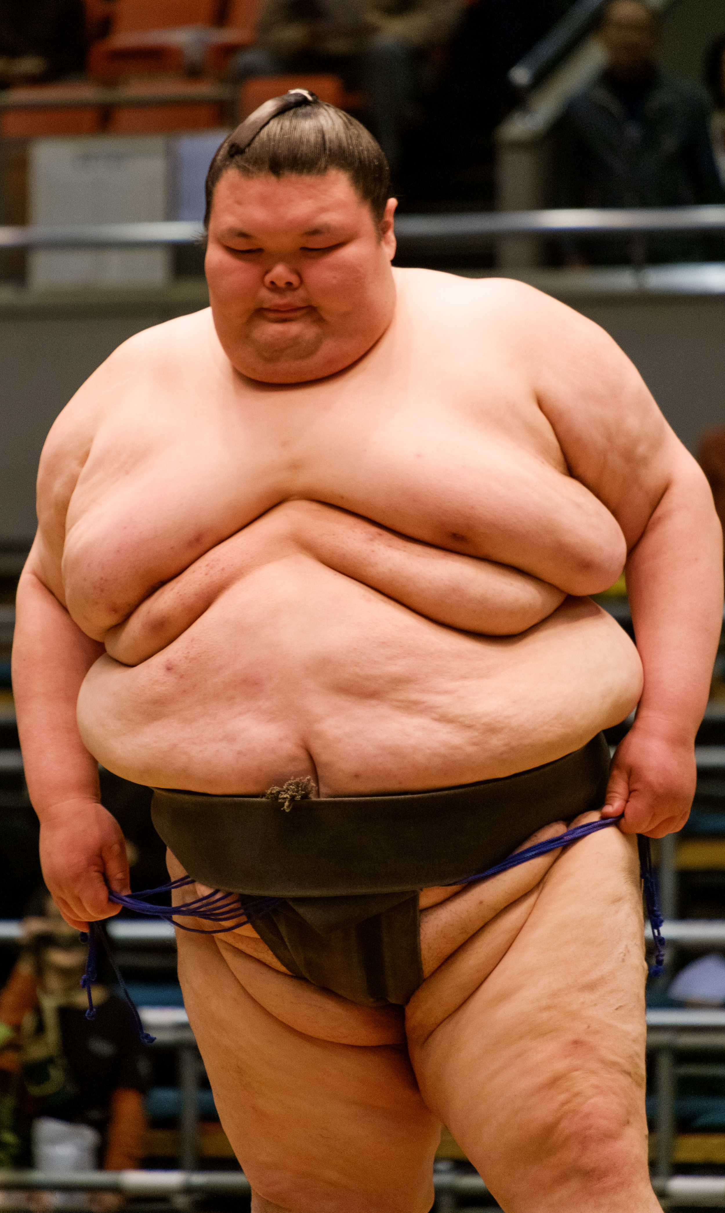 Tout savoir sur le sumo — Jonathan B. Roy