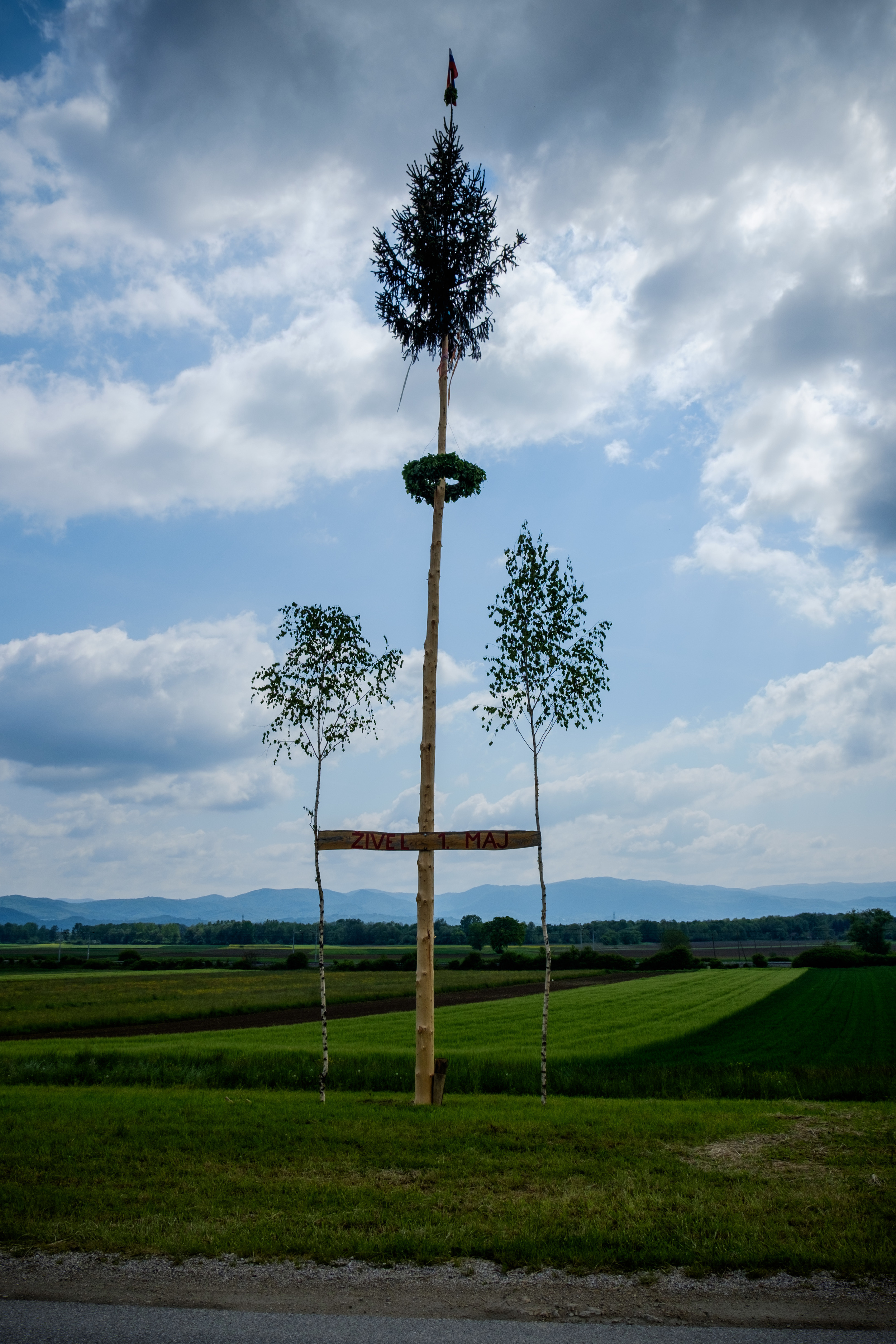 Un arbre de mai slovène.