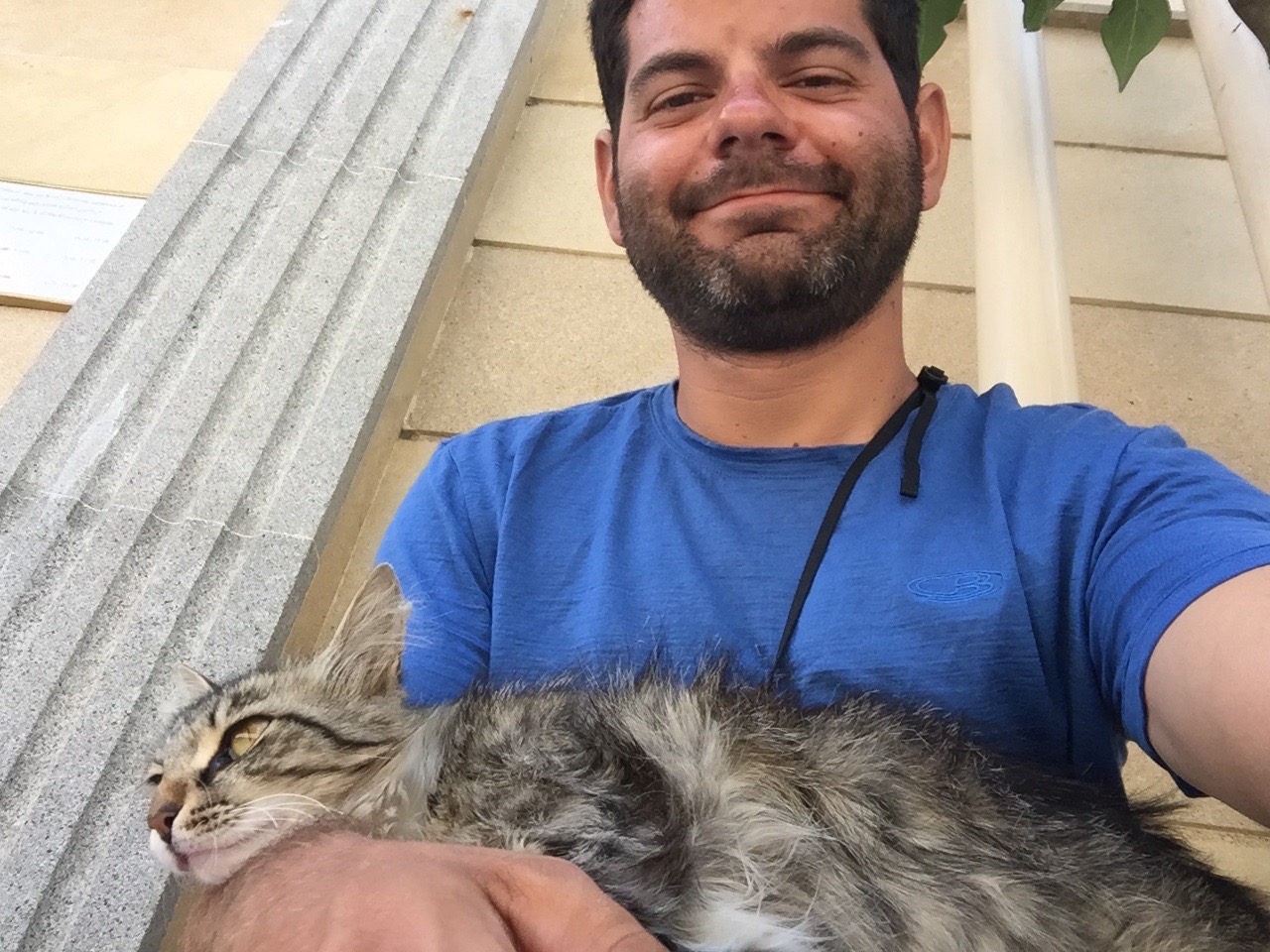 Le chat était beaucoup plus colleux que les soldats.