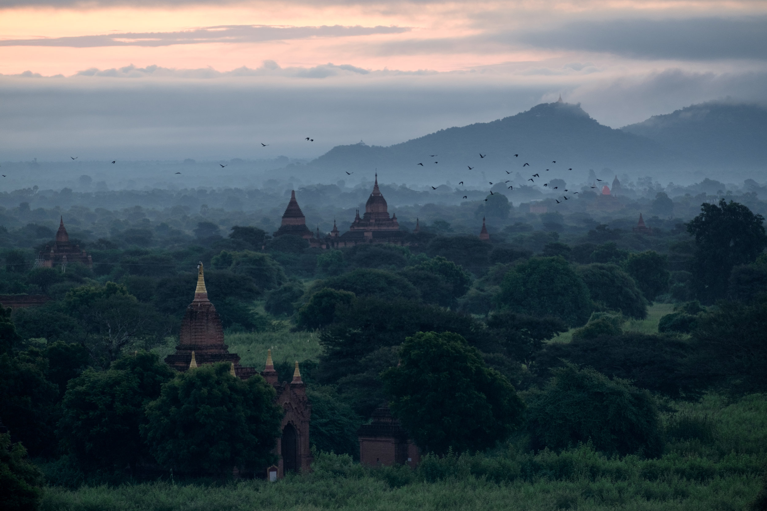 Des temples et des oiseaux.