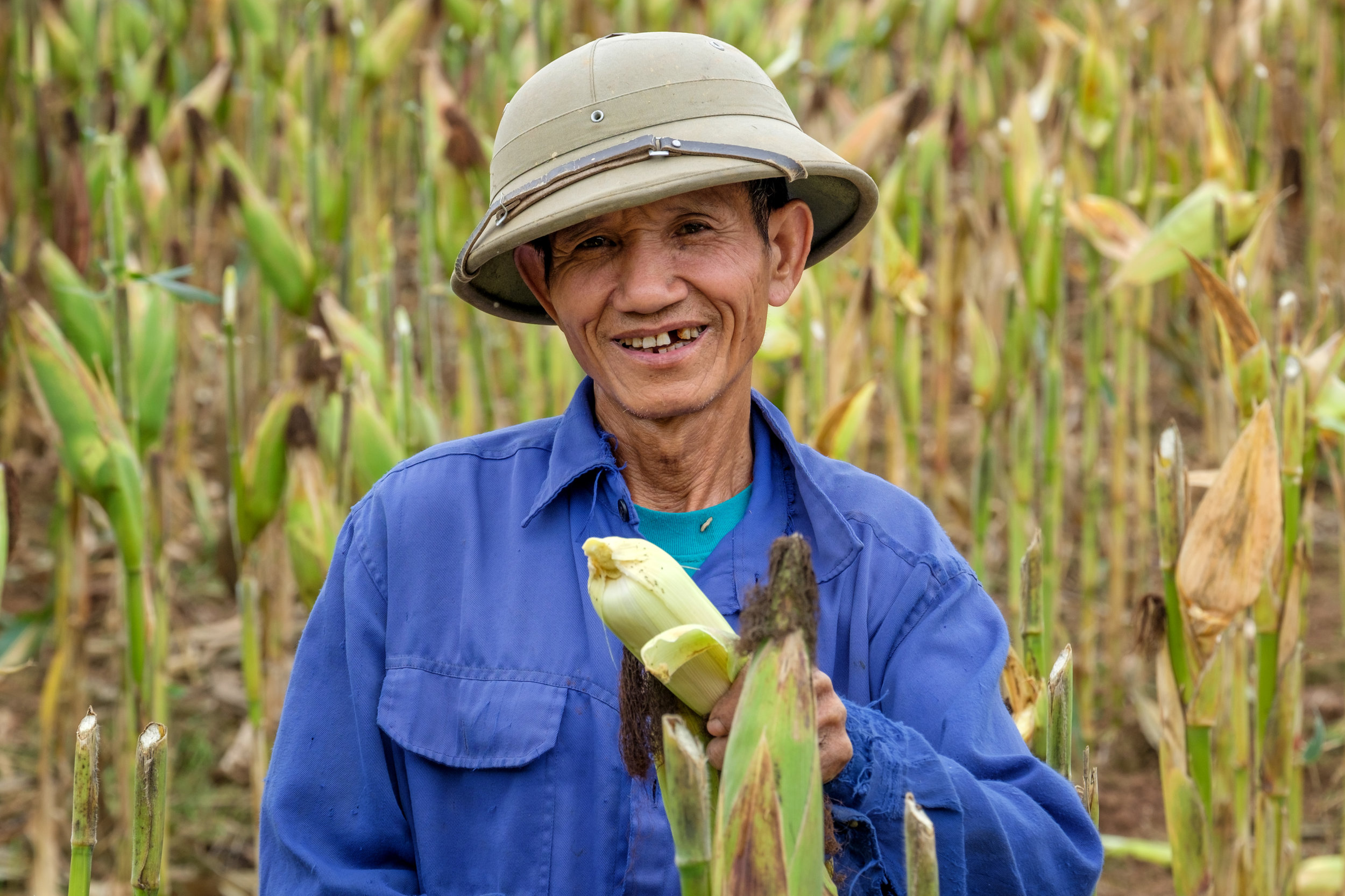 Les travailleurs aux champs sont nombreux dans la campagne vietnamienne.