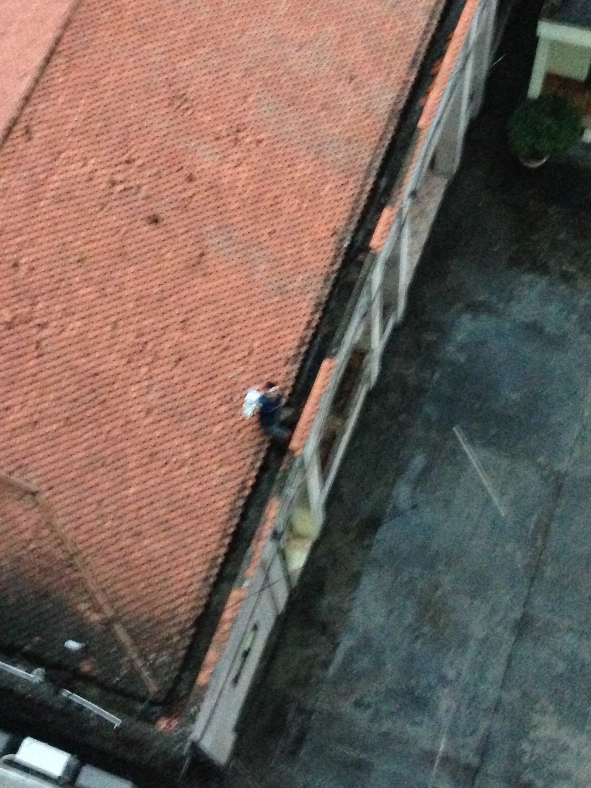 Photo de qualité prise par mon père de notre chambre d'hôtel.