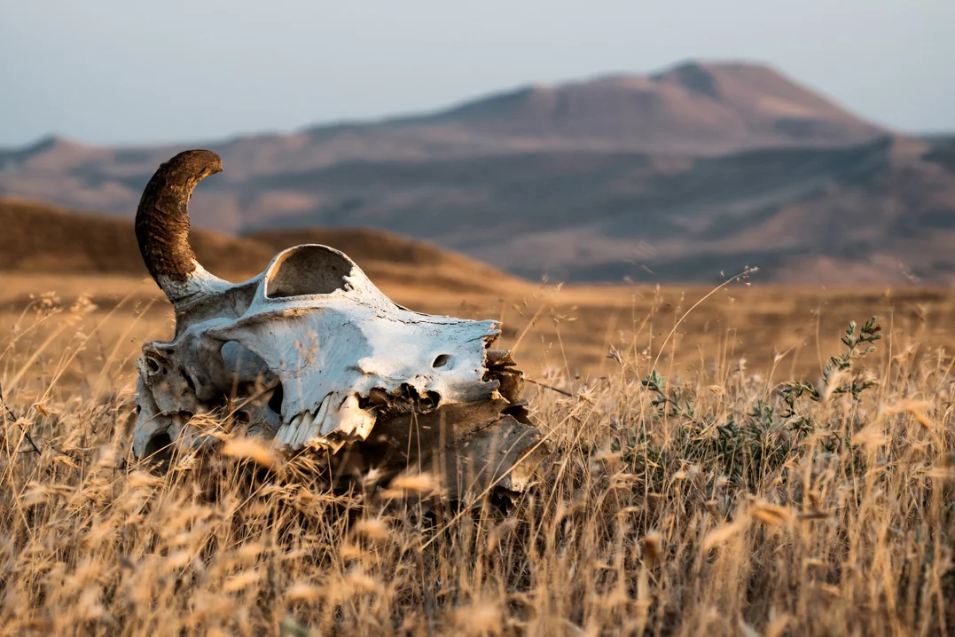 Le climat aride de l'Azerbaïdjan
