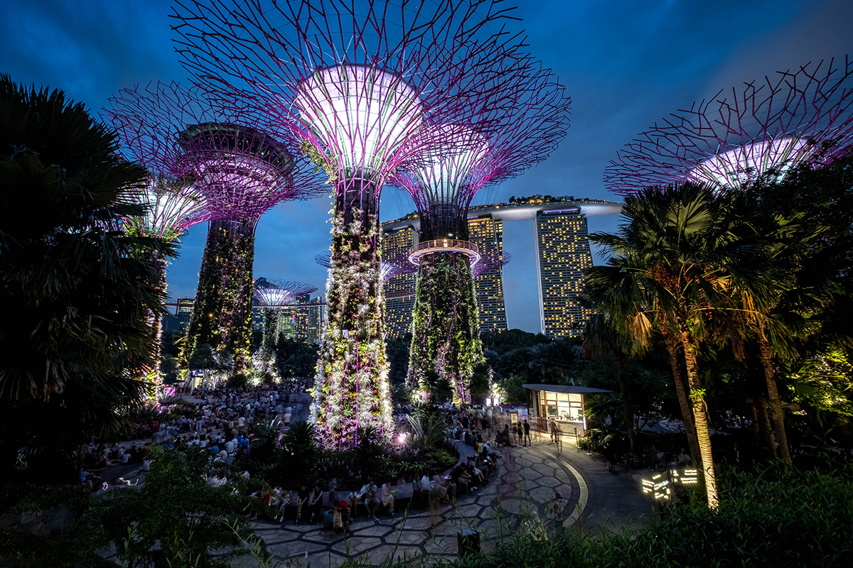 Les fameux et impressionnants palmiers « Supertree Grove », dans le Garden by the Bay.