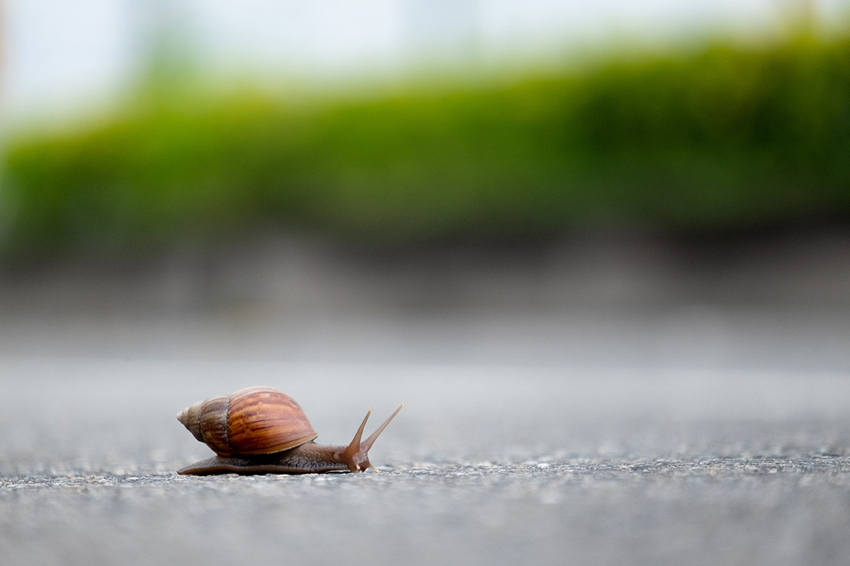La vitesse à laquelle j'ai l'impression de rouler après une semaine oisive sur le cargo.