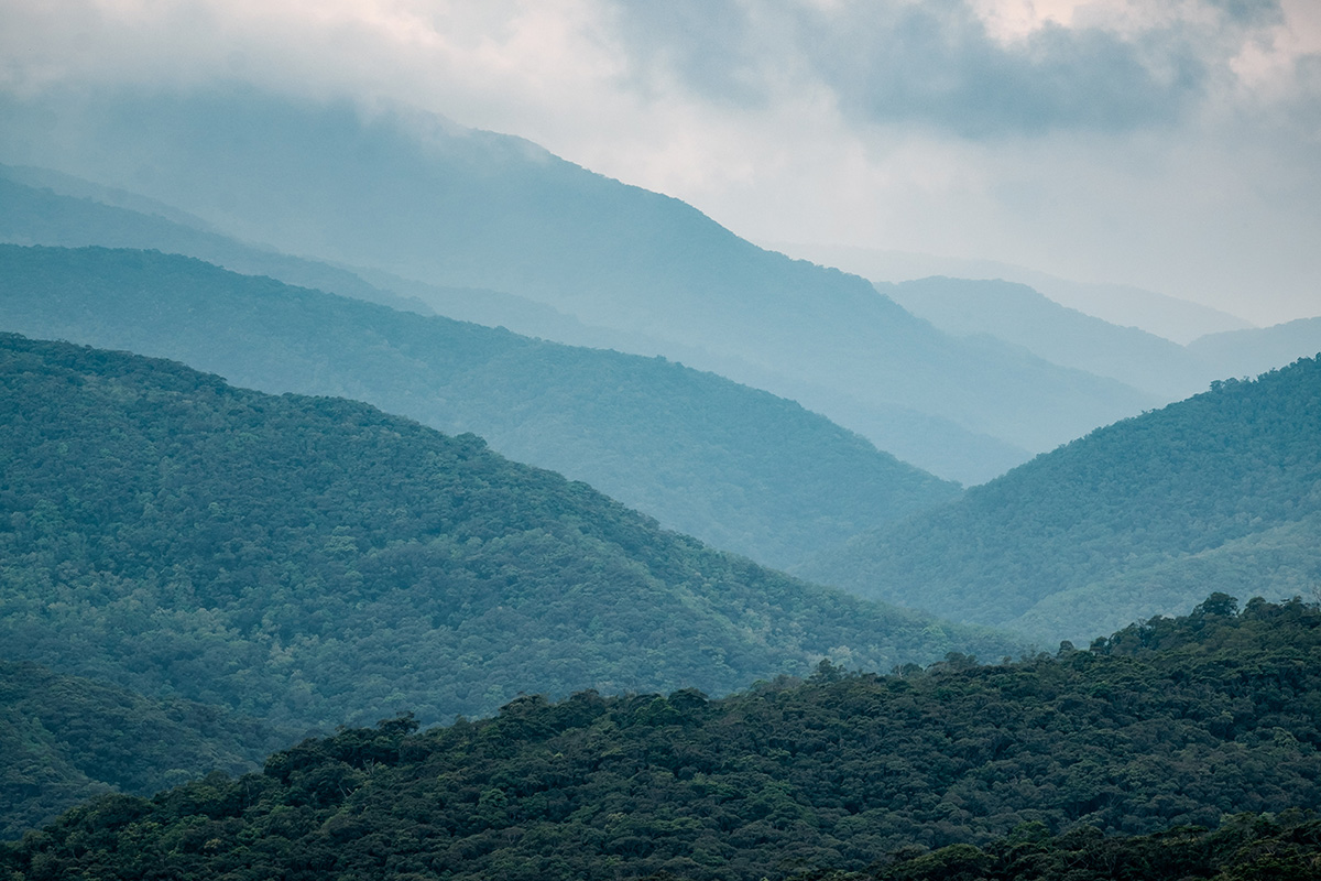 18-07-22---Montagnes-Mudan-(Taiwan).jpg
