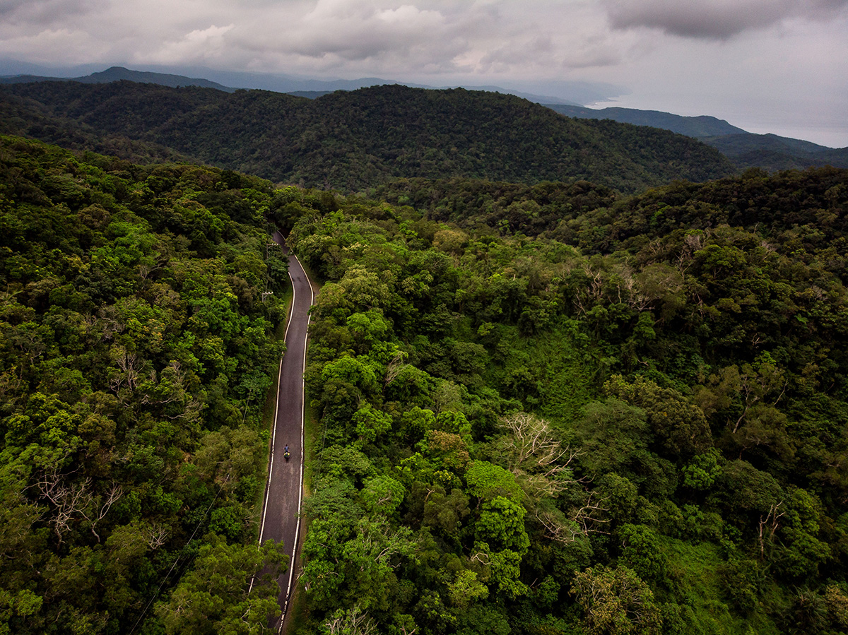 Chemin secondaire à travers l'épaisse forêt du sud de Taïwan.