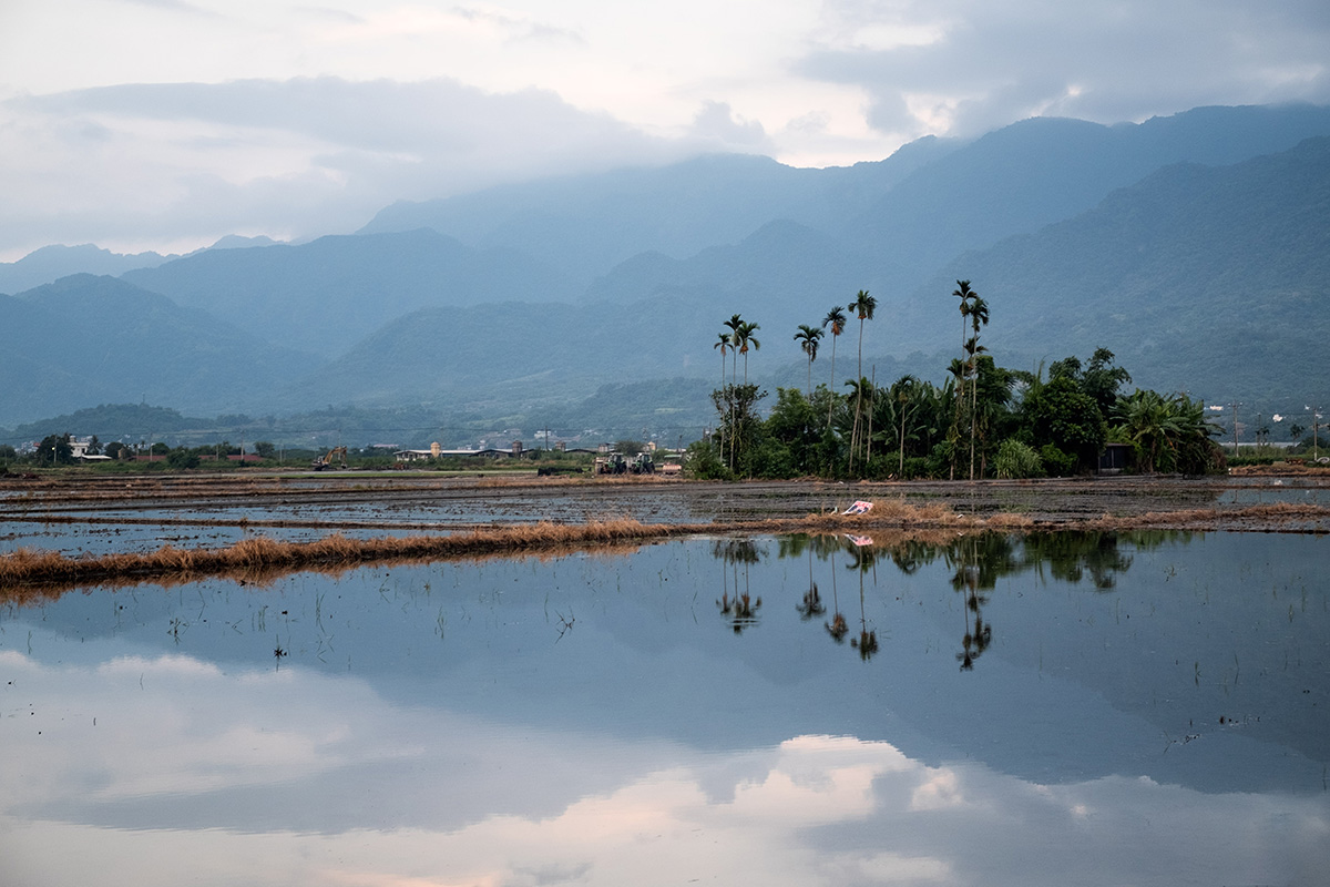 Oasis agricole au milieu de la vallée.
