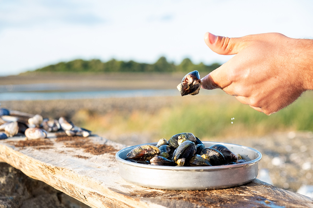 En pleine préparation des moules !