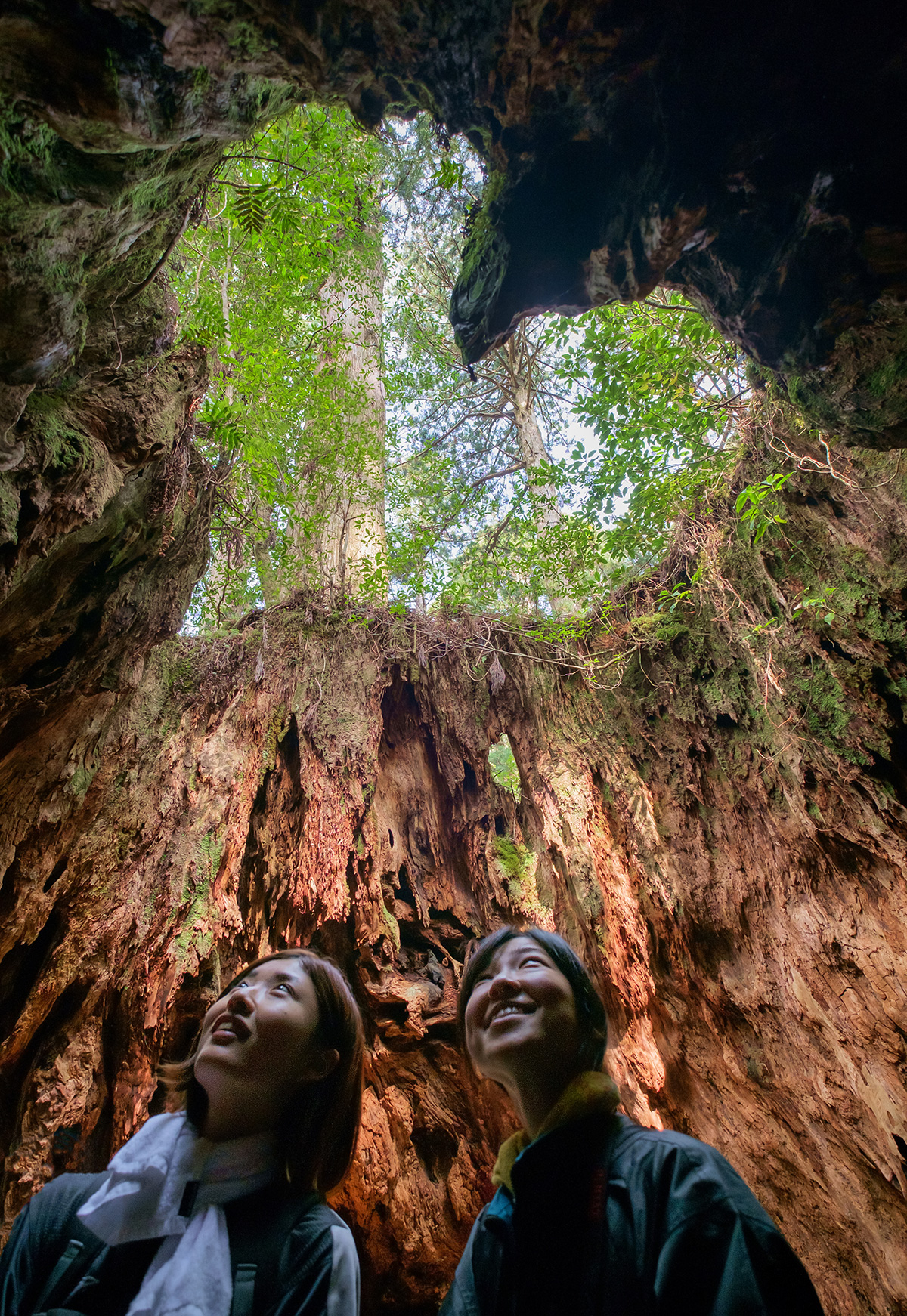 Deux amies japonaises se tiennent à l’intérieur d’un vieil arbre creux. L’ouverture du tronc en forme de cœur souligne leur amitié.