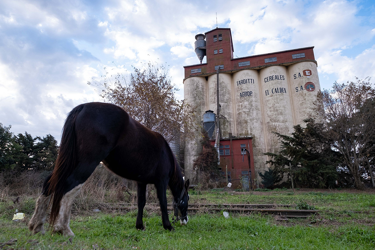 Paysage familier de chaque village : des silos à grains et quelques chevaux.