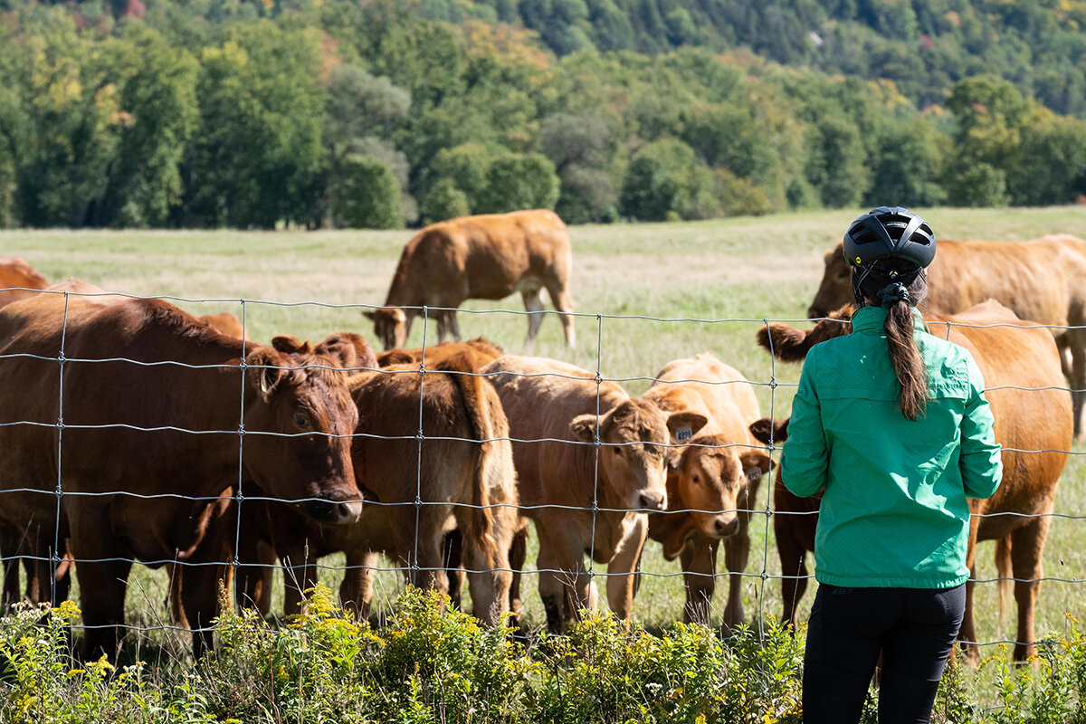 20-09-20 - Gabrielle and cows (path Tour du Carré, Brébeuf)_1200px.jpg