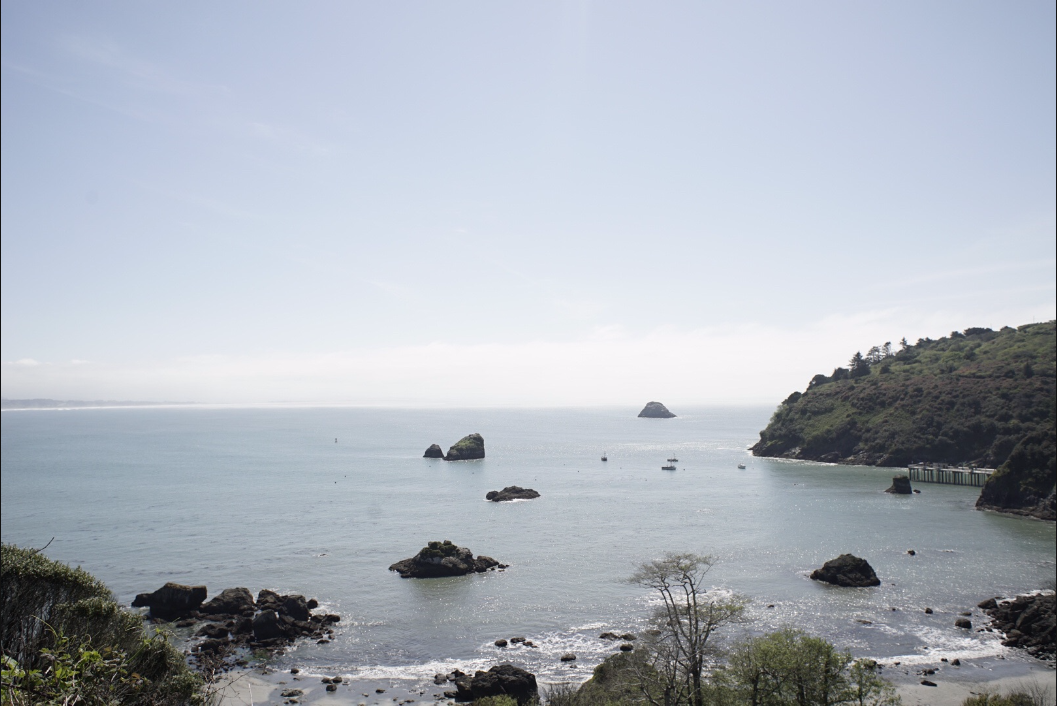 Coastlines