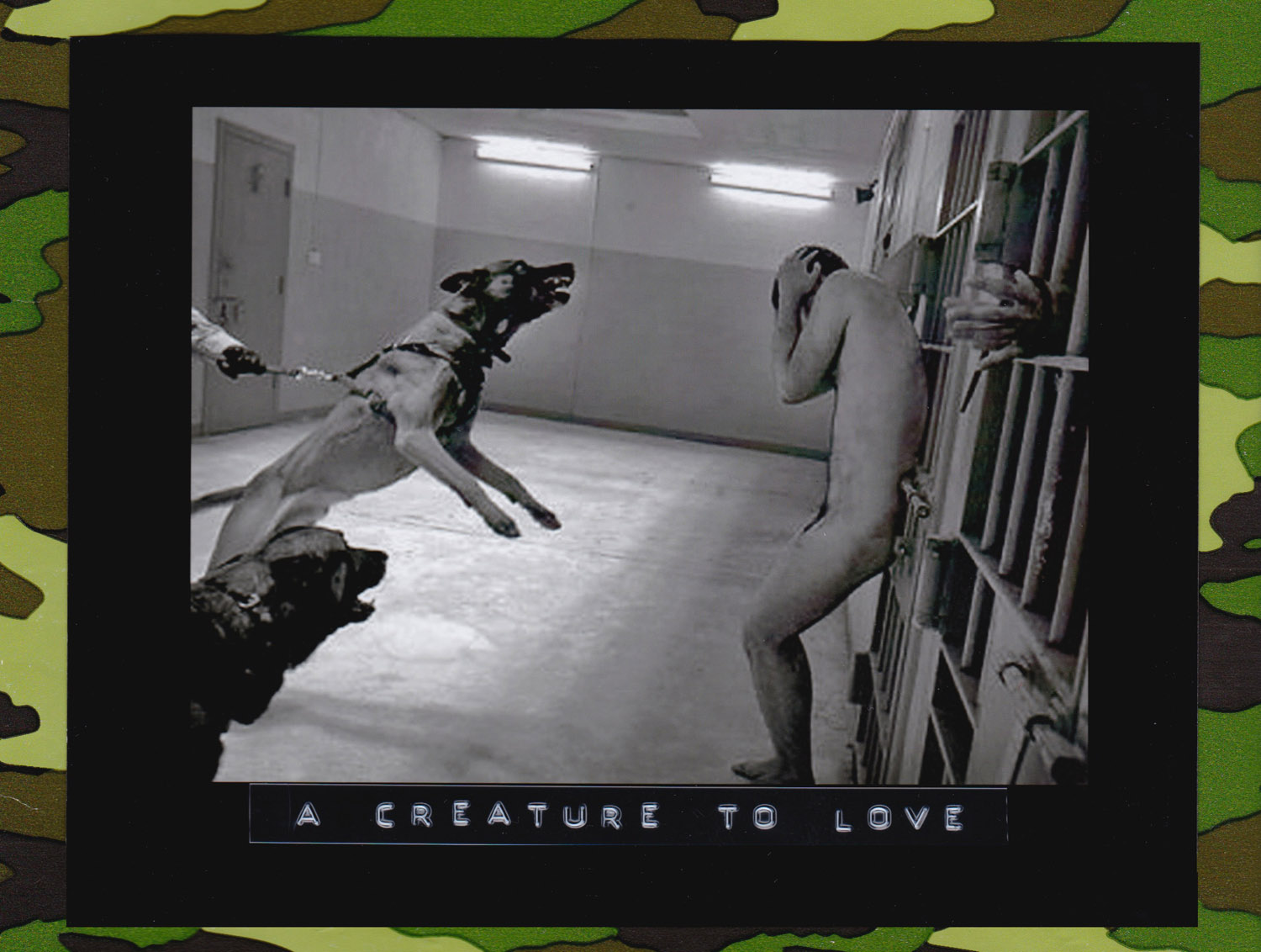 Torture Standard Operating Procedure Abu Ghraib. Dogs and Prisoner- Reenactment, 2008. (Photo: Nubar Alexanian)