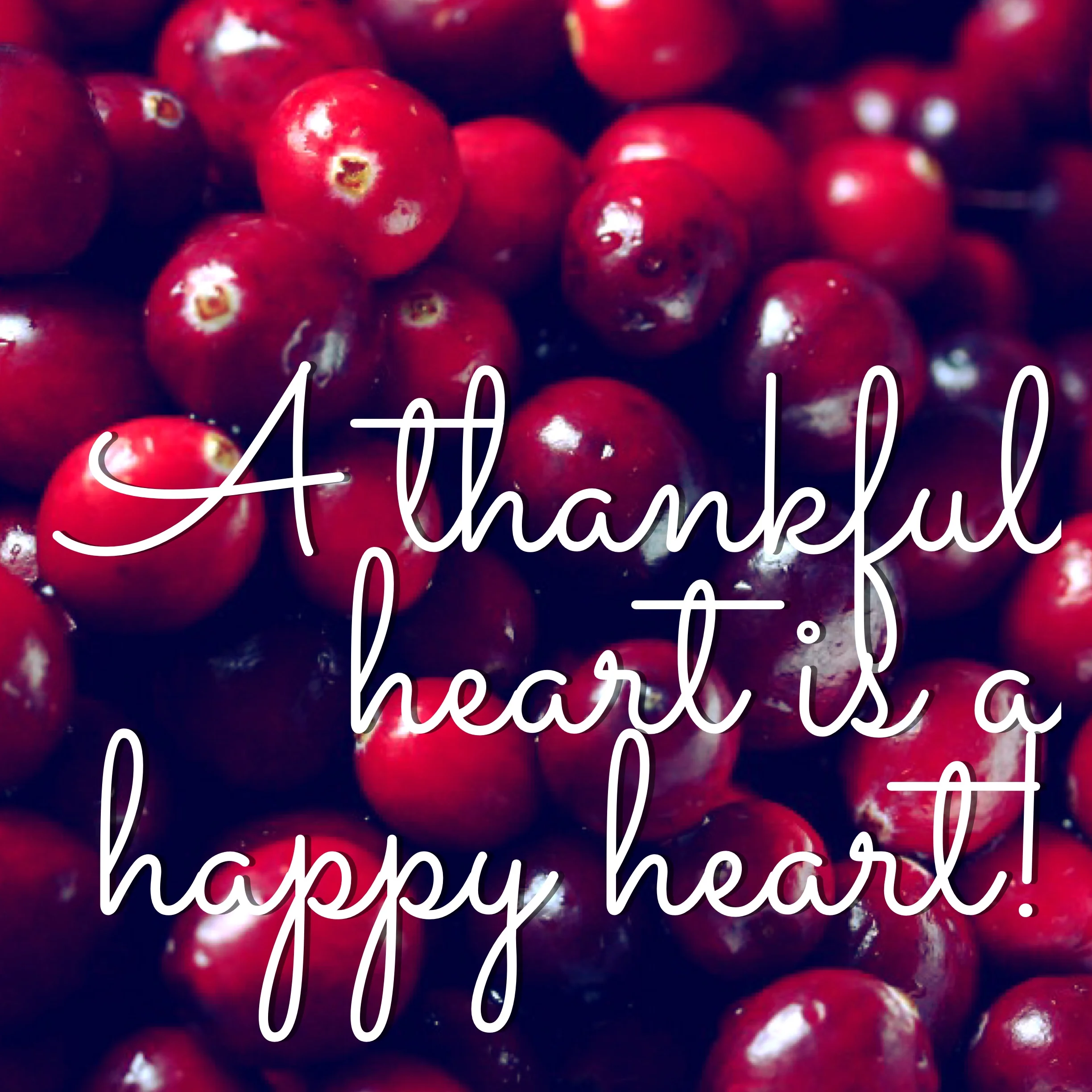 Photo Courtesy of High Note Gifts
