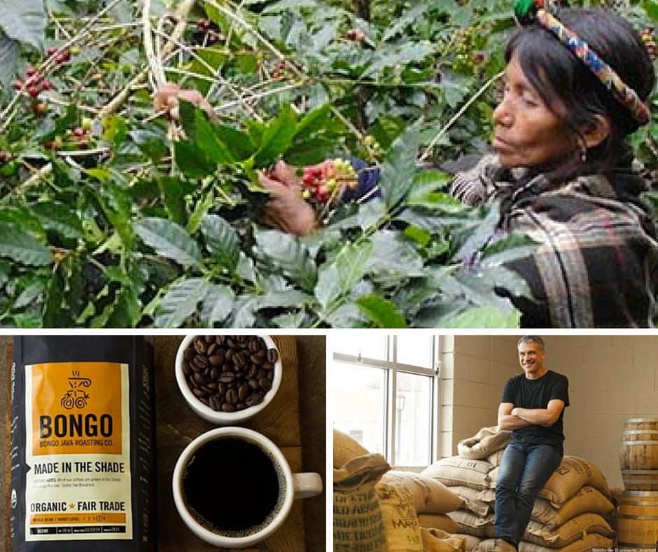 Bongo Java.jpg