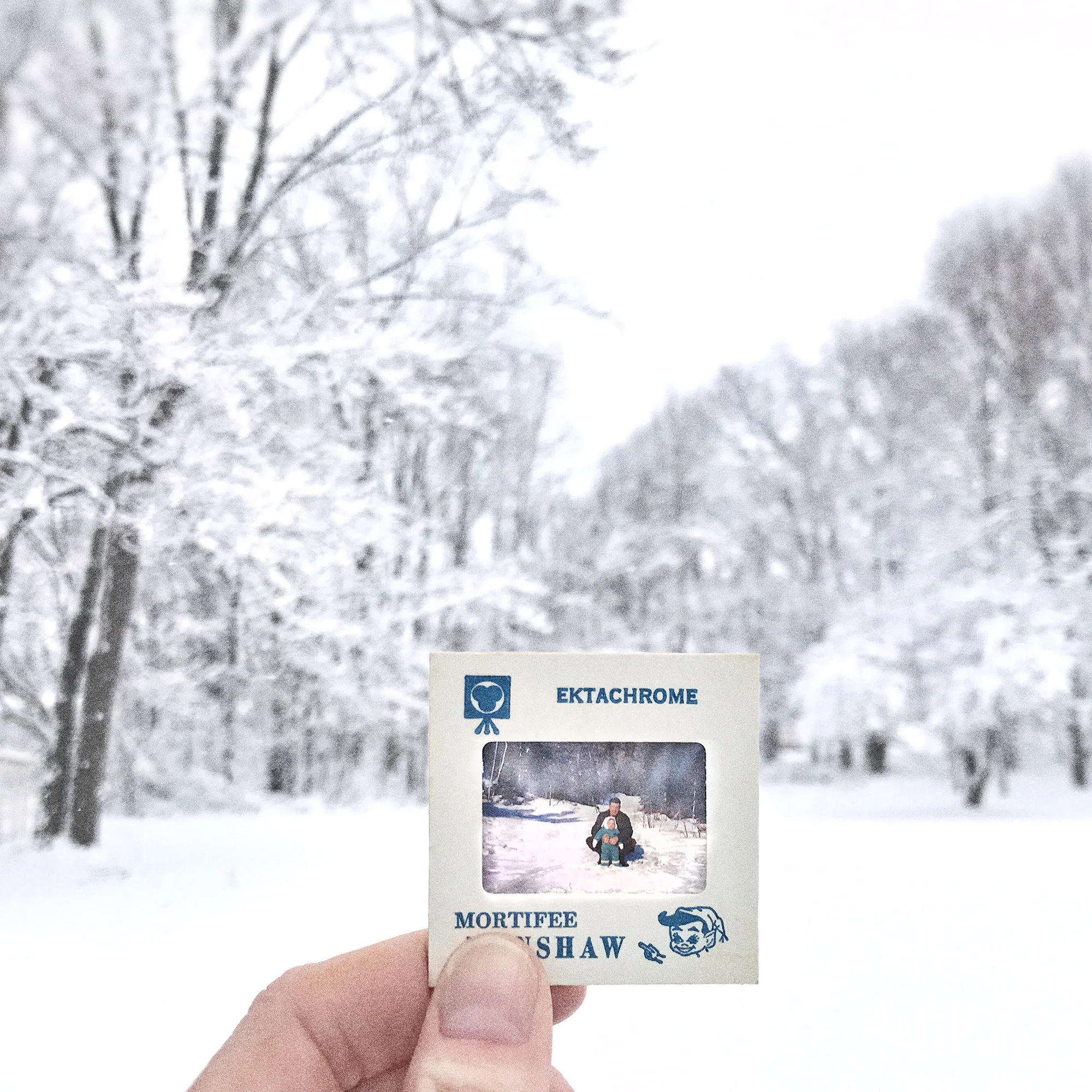 Snow Bunnies.jpg