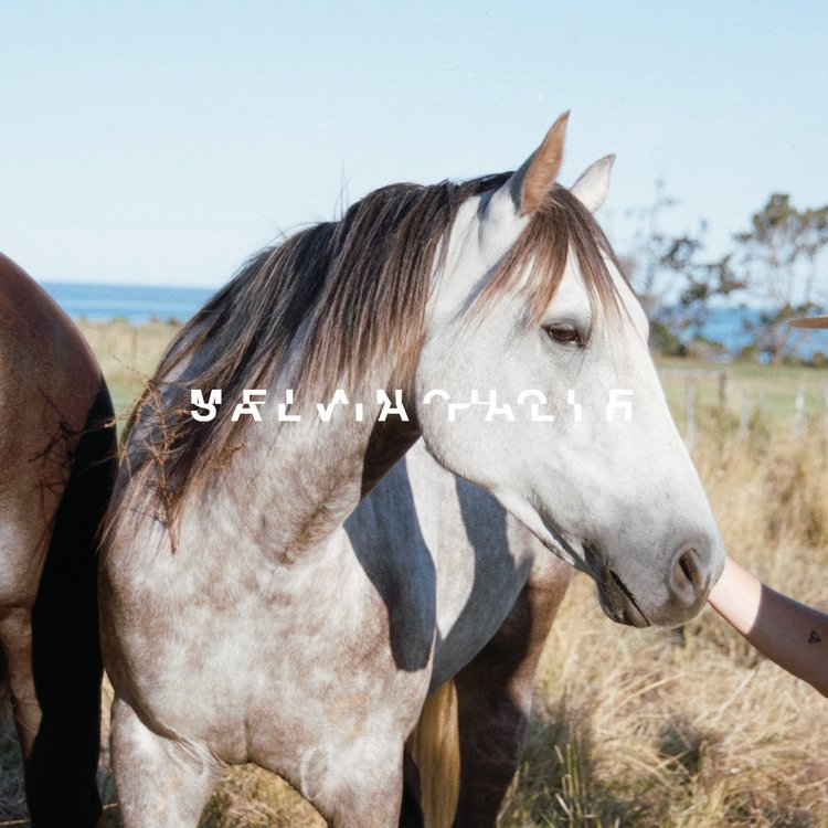 Salvia Palth - Melanchole (Reissue)