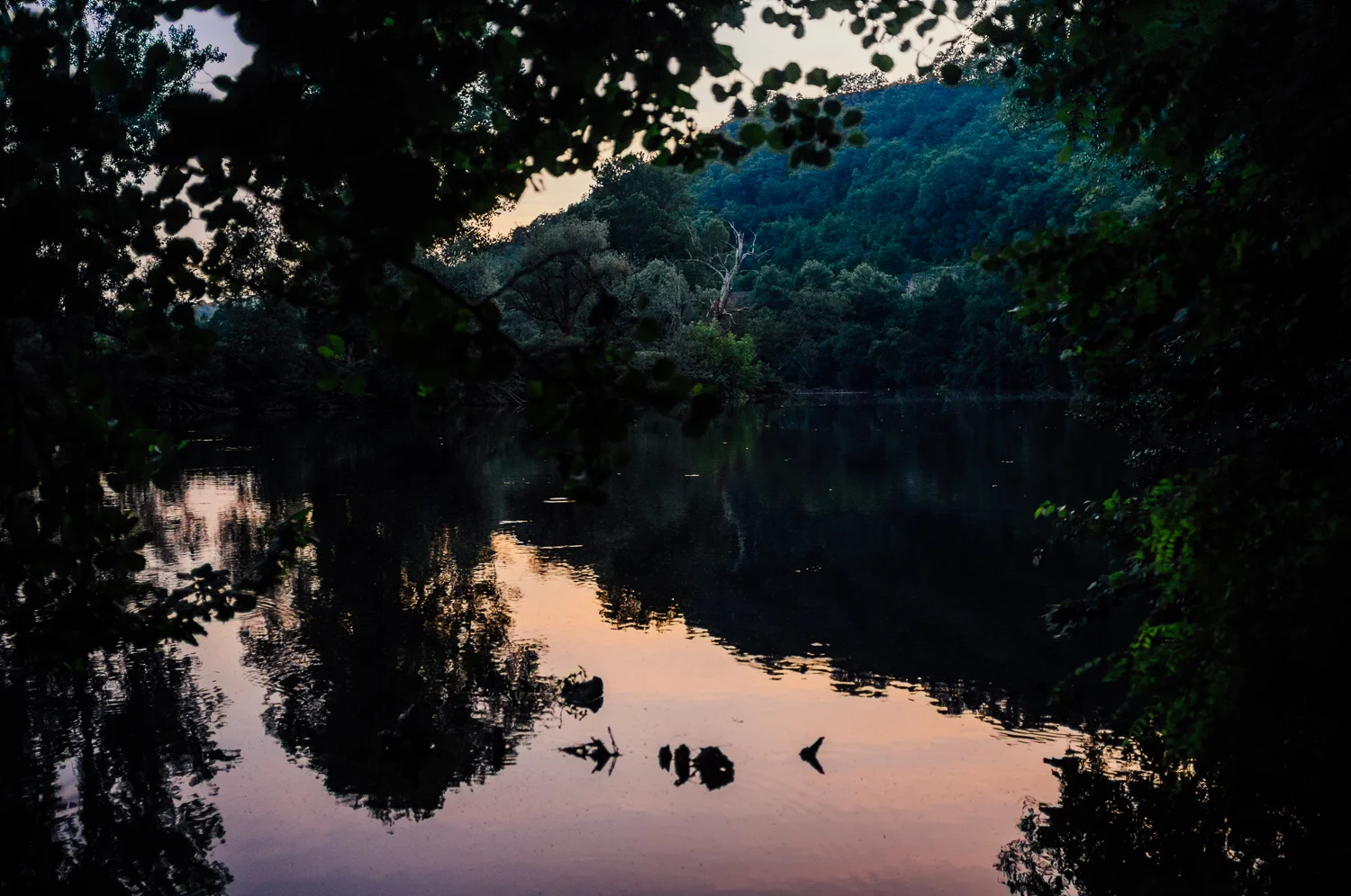 River Lot at sunset